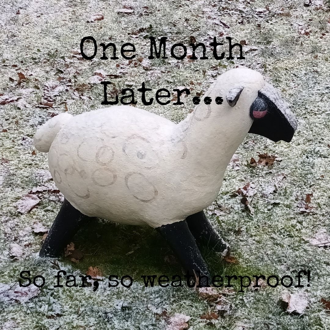 sheep.jpg