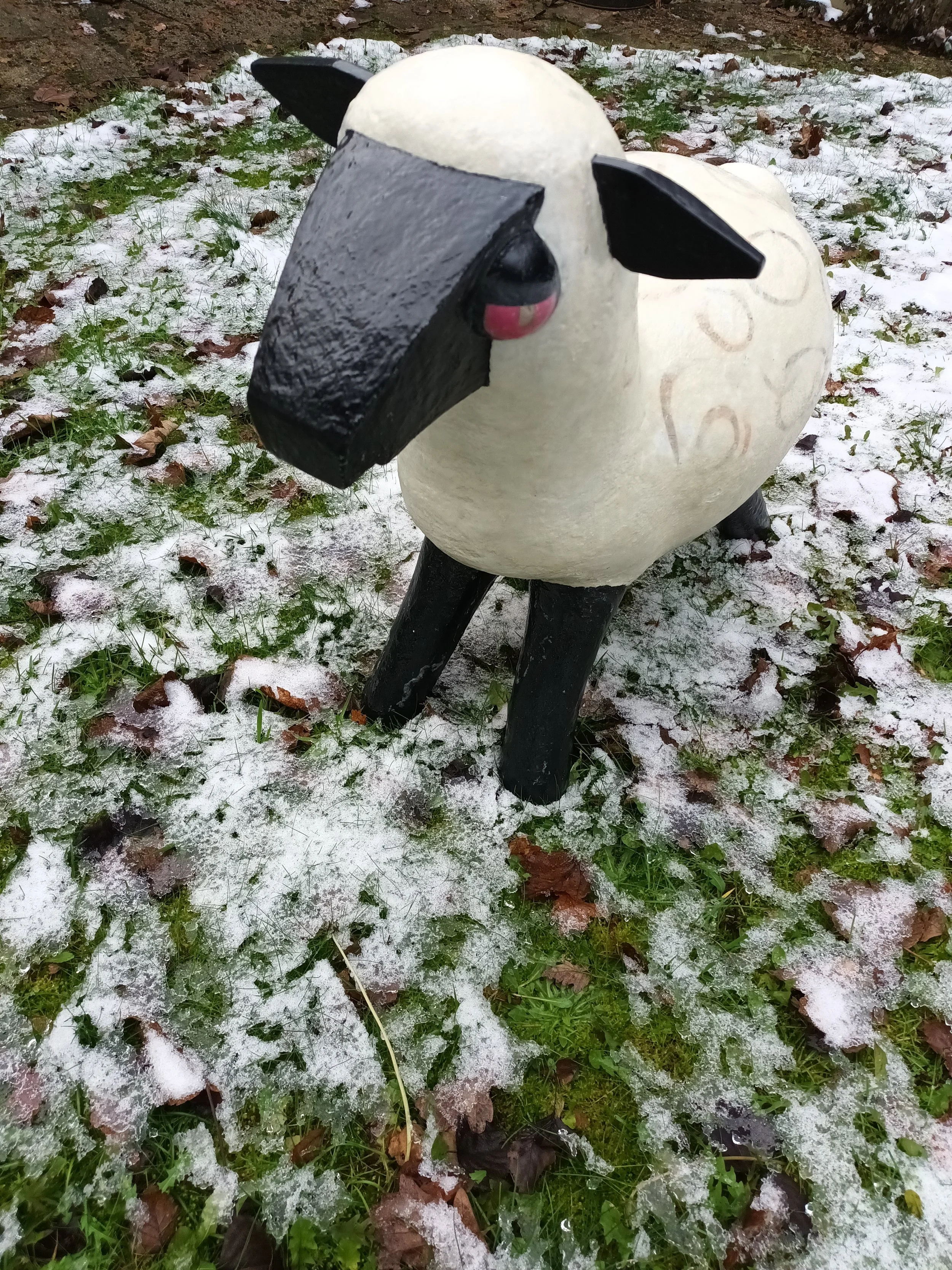 sheep.jpg