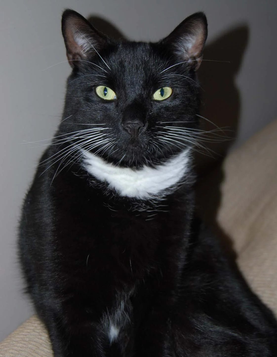 Jack meower.JPG