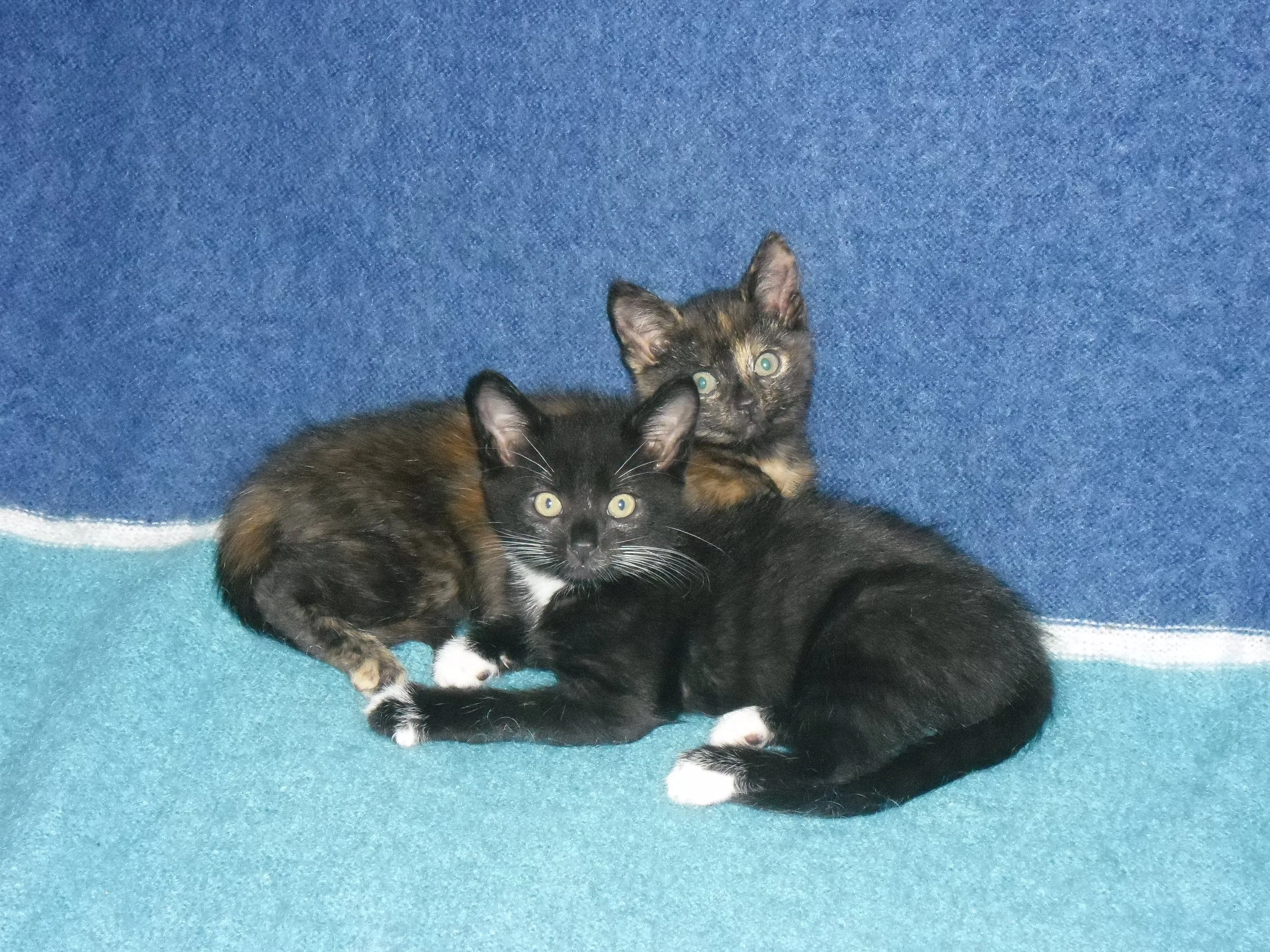 Jesus and Skippy.JPG