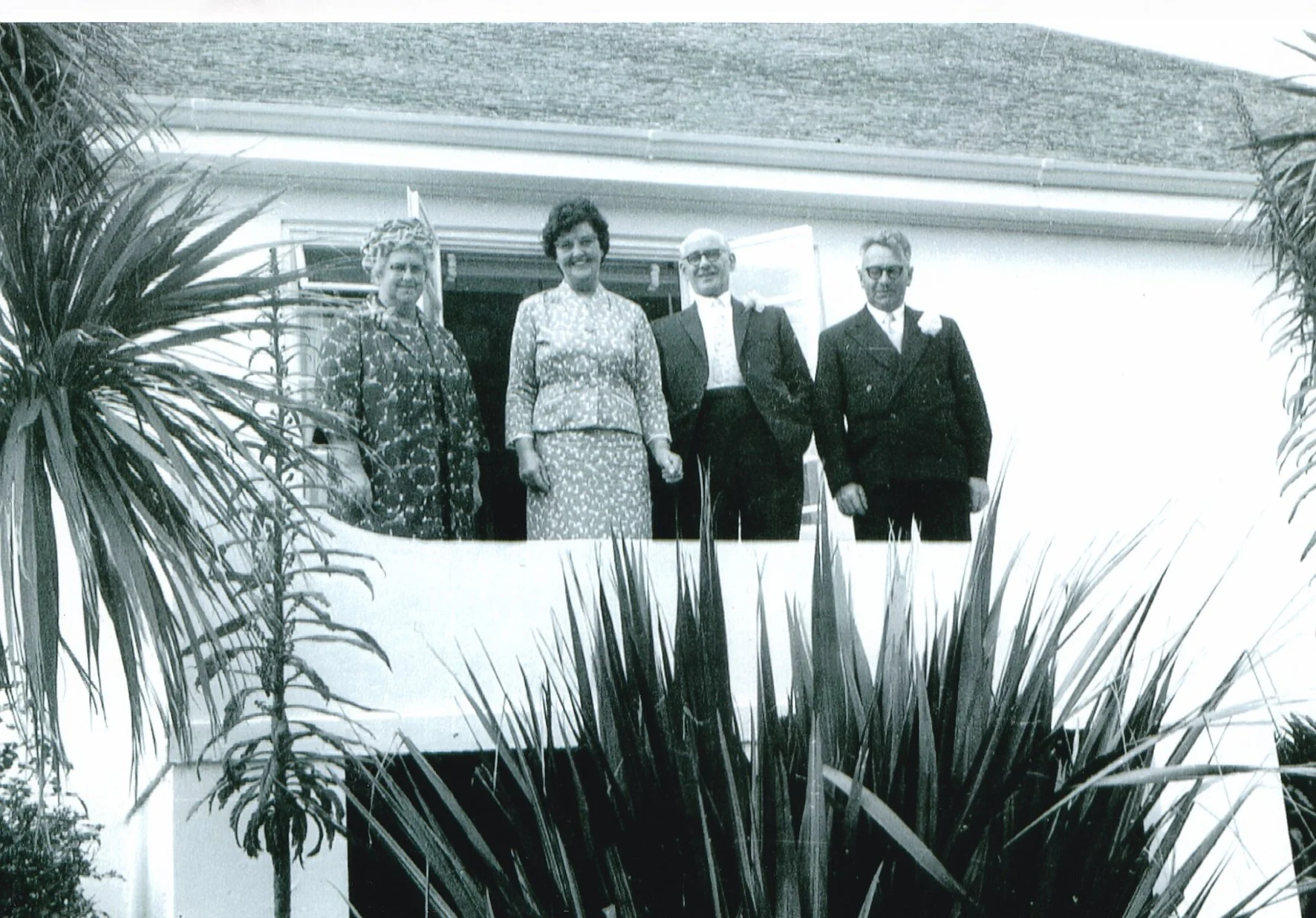 the palms.jpg