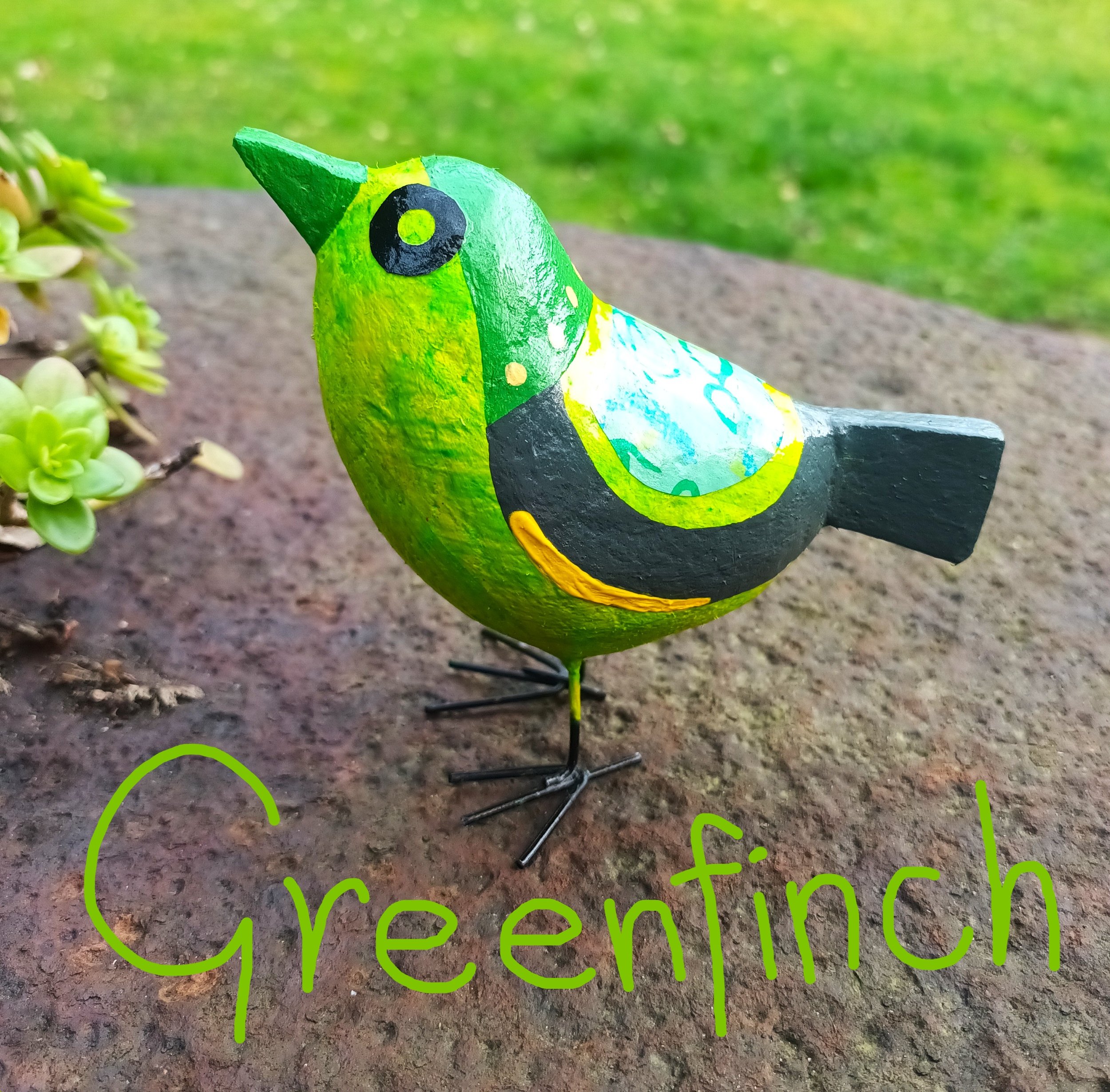 Greenfinch (2).jpg