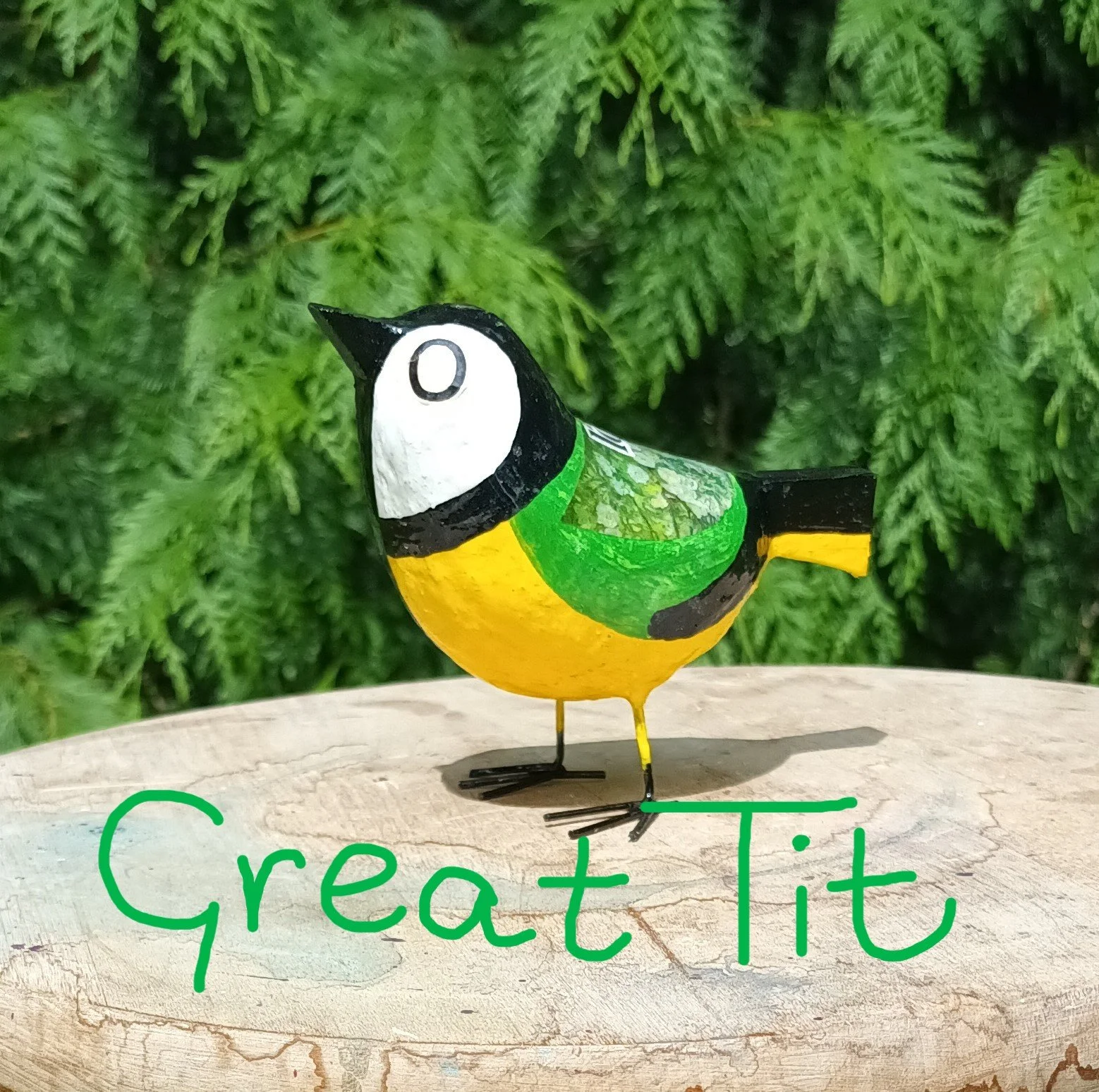 Great Tit (2).jpg