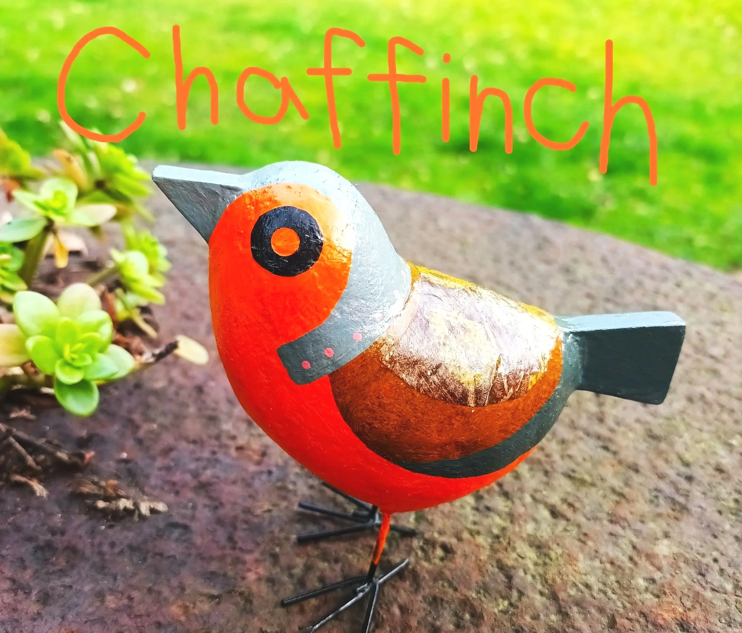 Chaffinch%2B%25282%2529.jpg