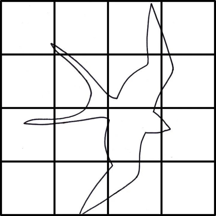 swallow template with grid.jpg