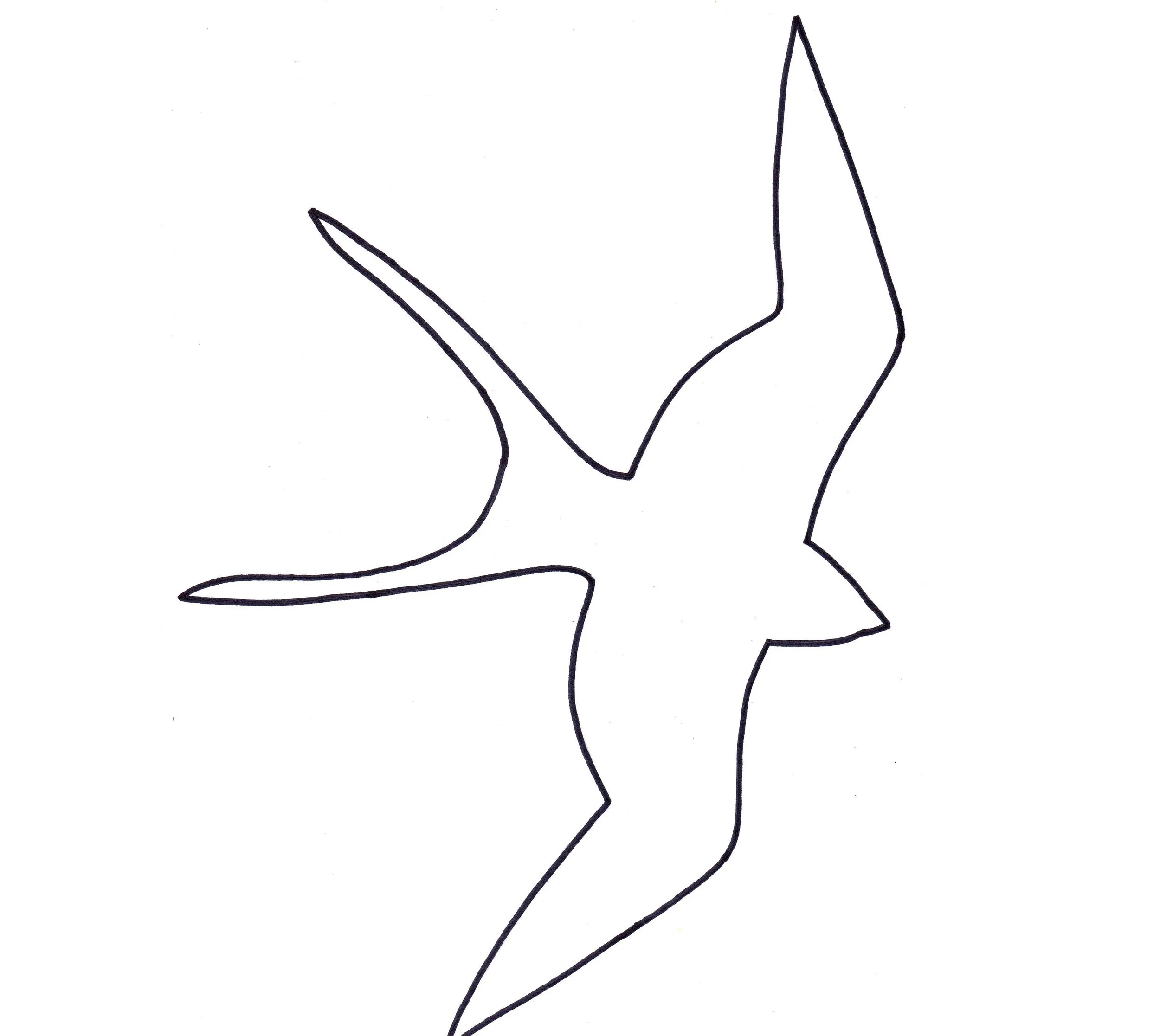 swallow template.jpg