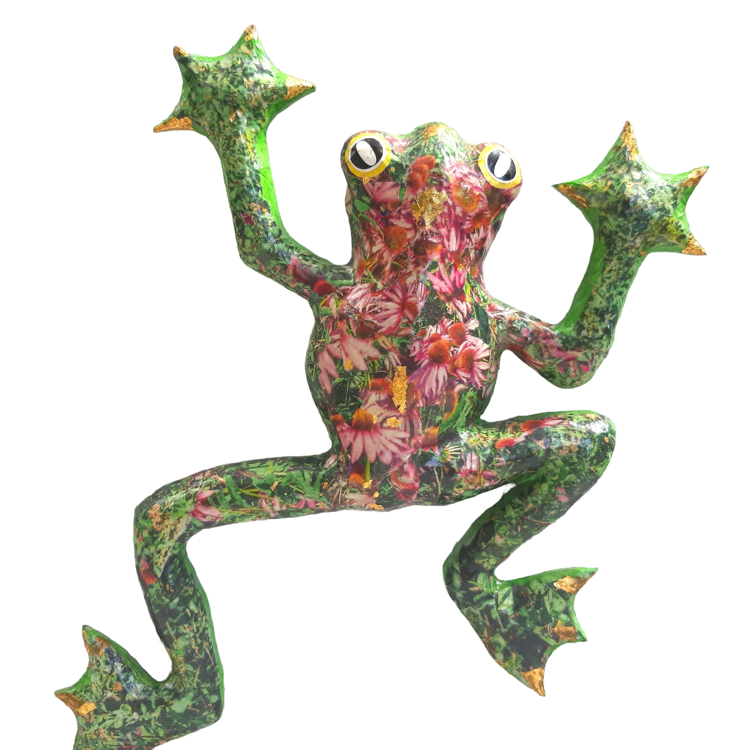tree frog.png