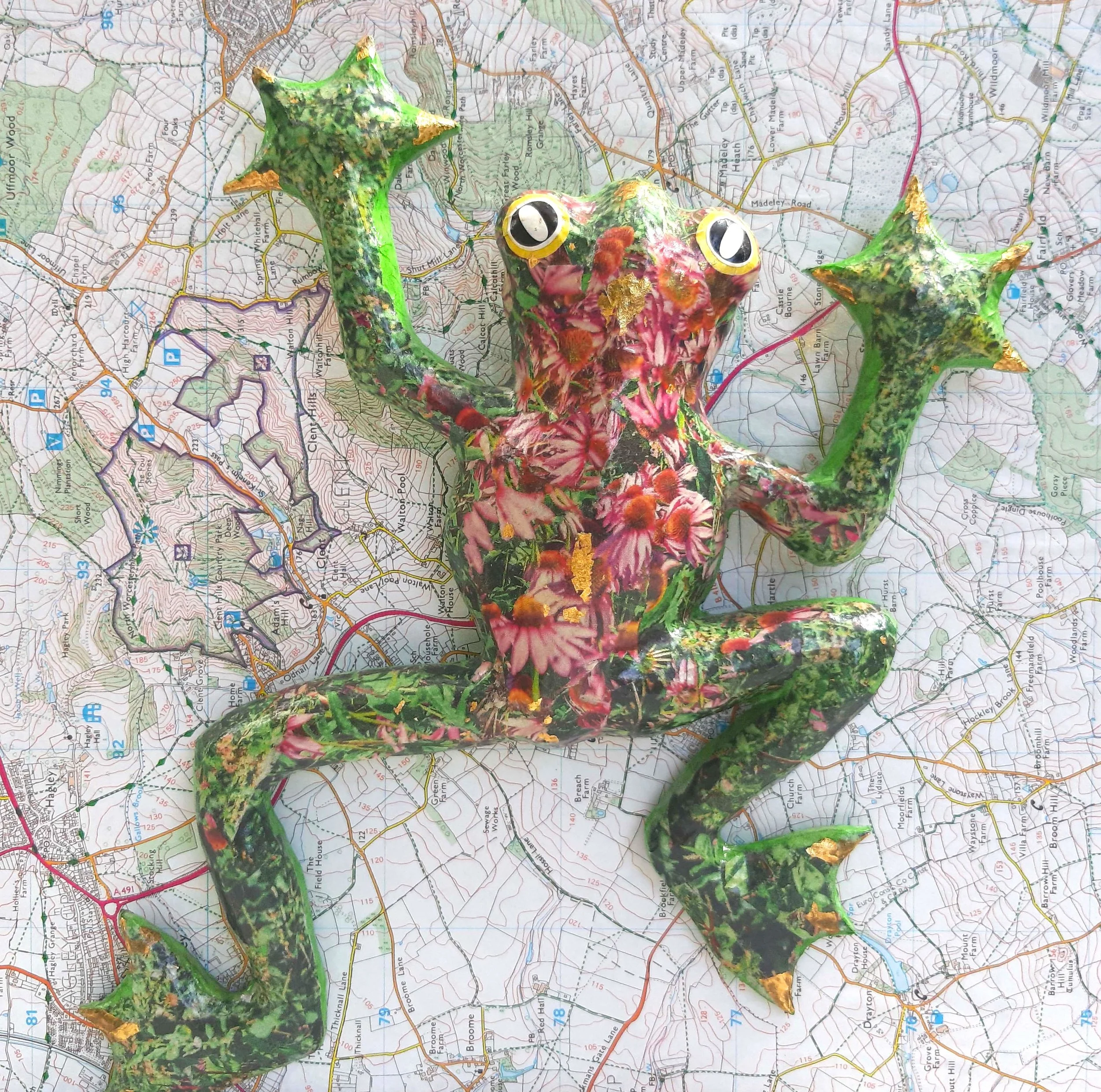 tree frog.jpg