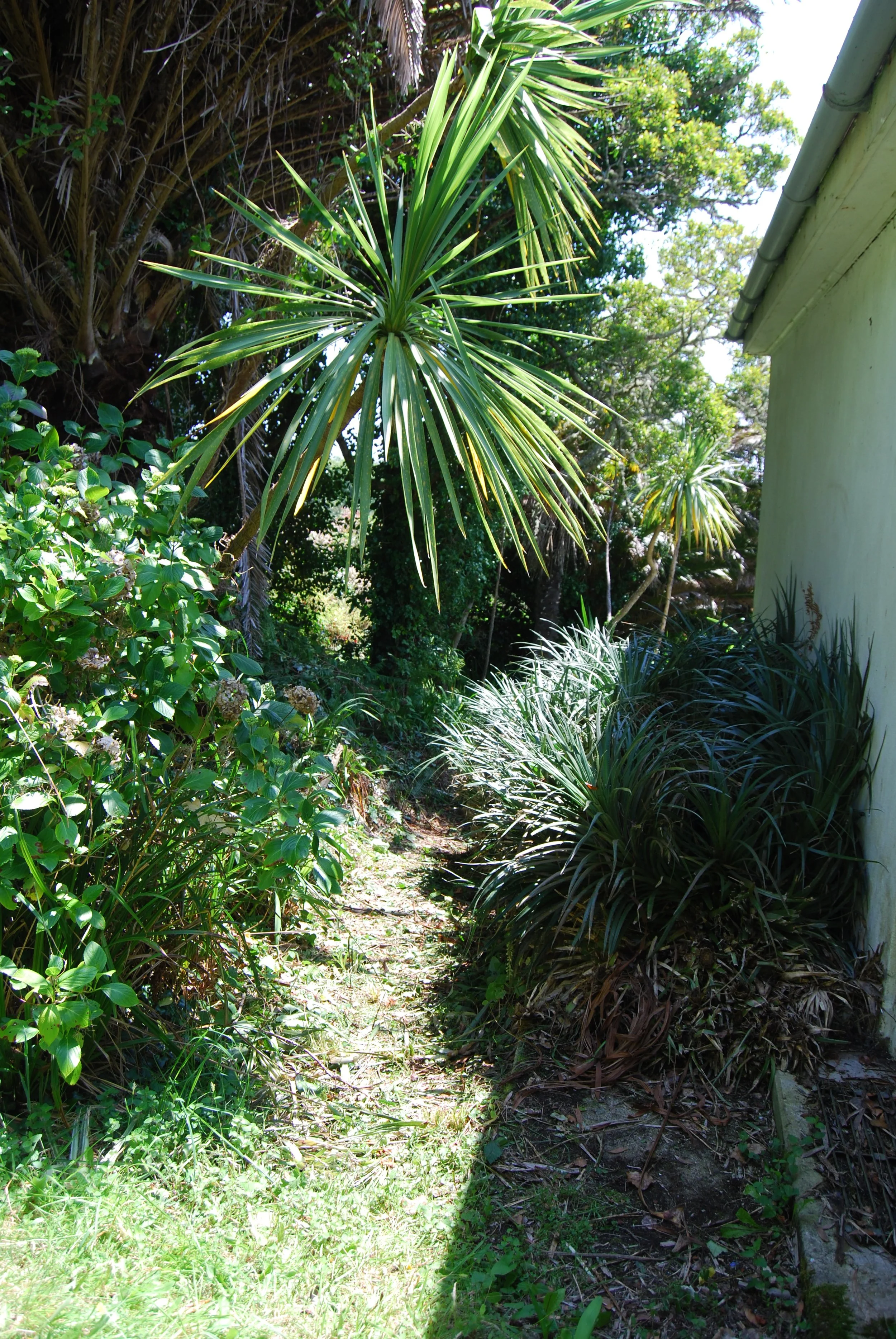 DSC_0684.JPG