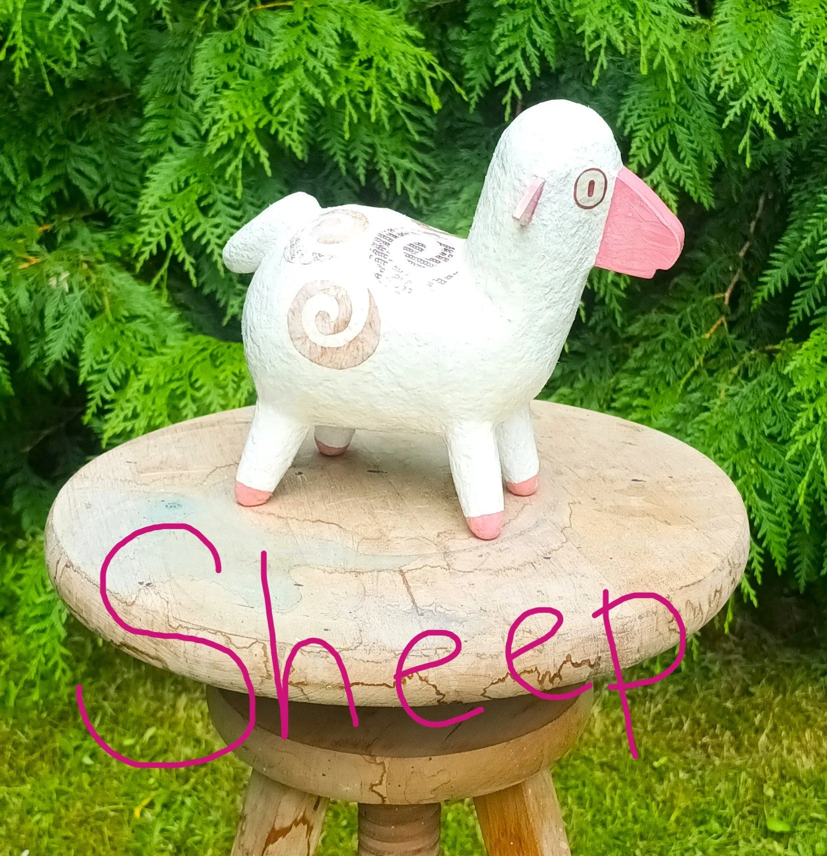 Sheep