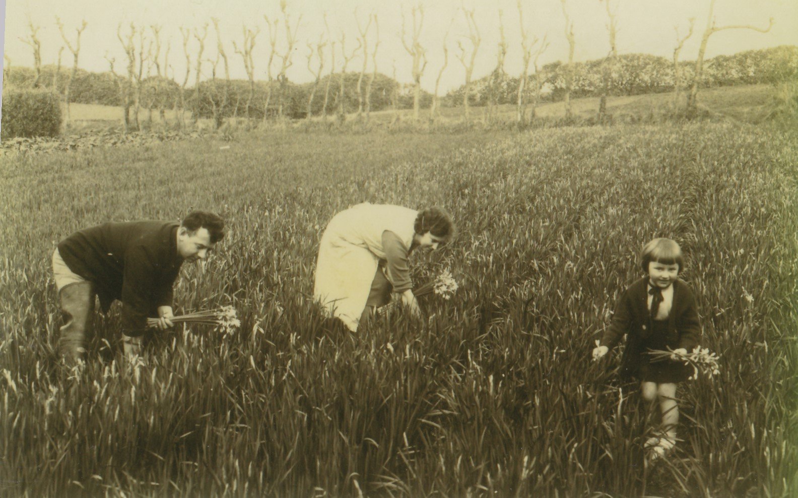 Grandad, granny and June picking flowers in the field behind The Palms