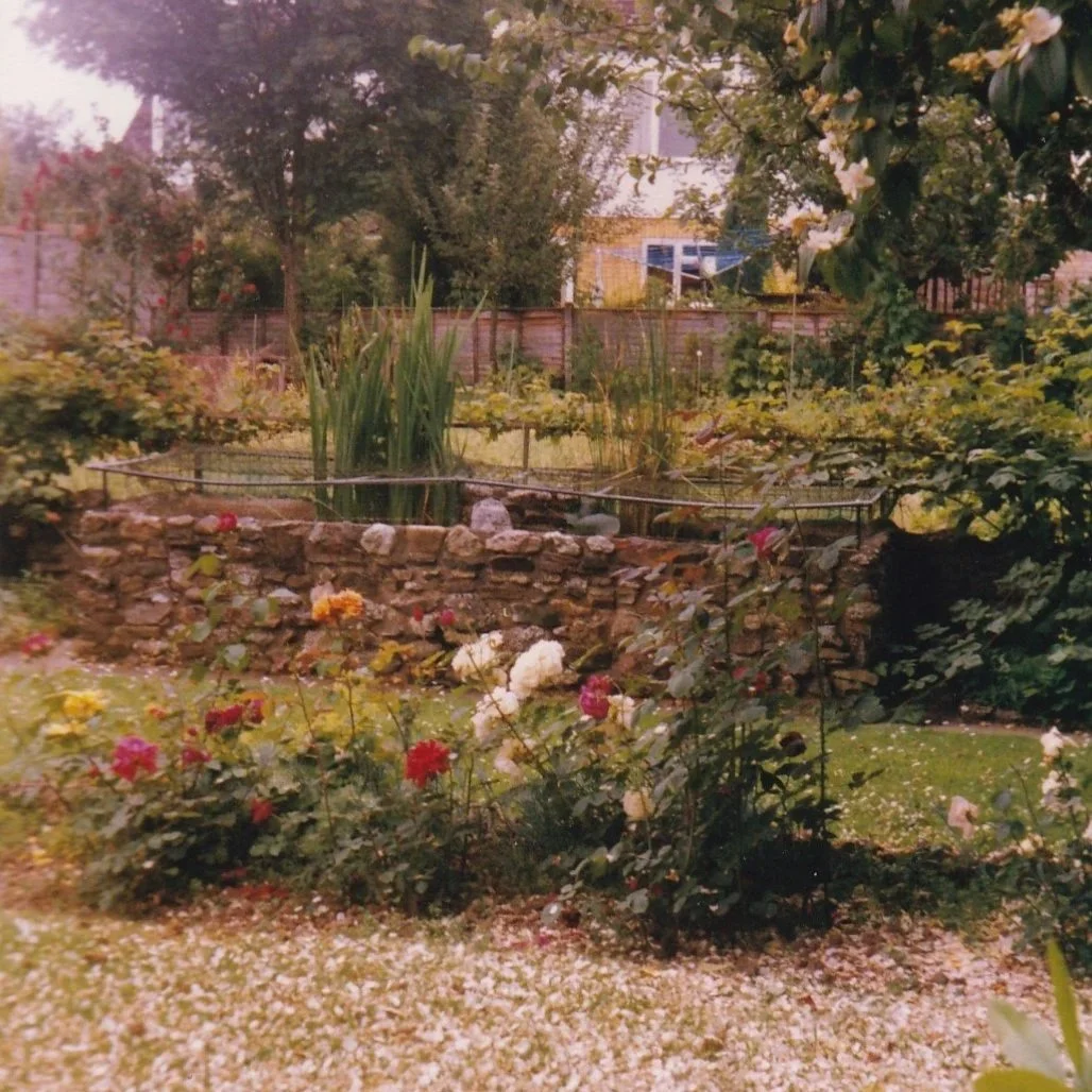 A garden with various flowering plants, including roses in different colors, a stone flower bed, and a small stone wall. There are trees, shrubs, and a fence in the background.