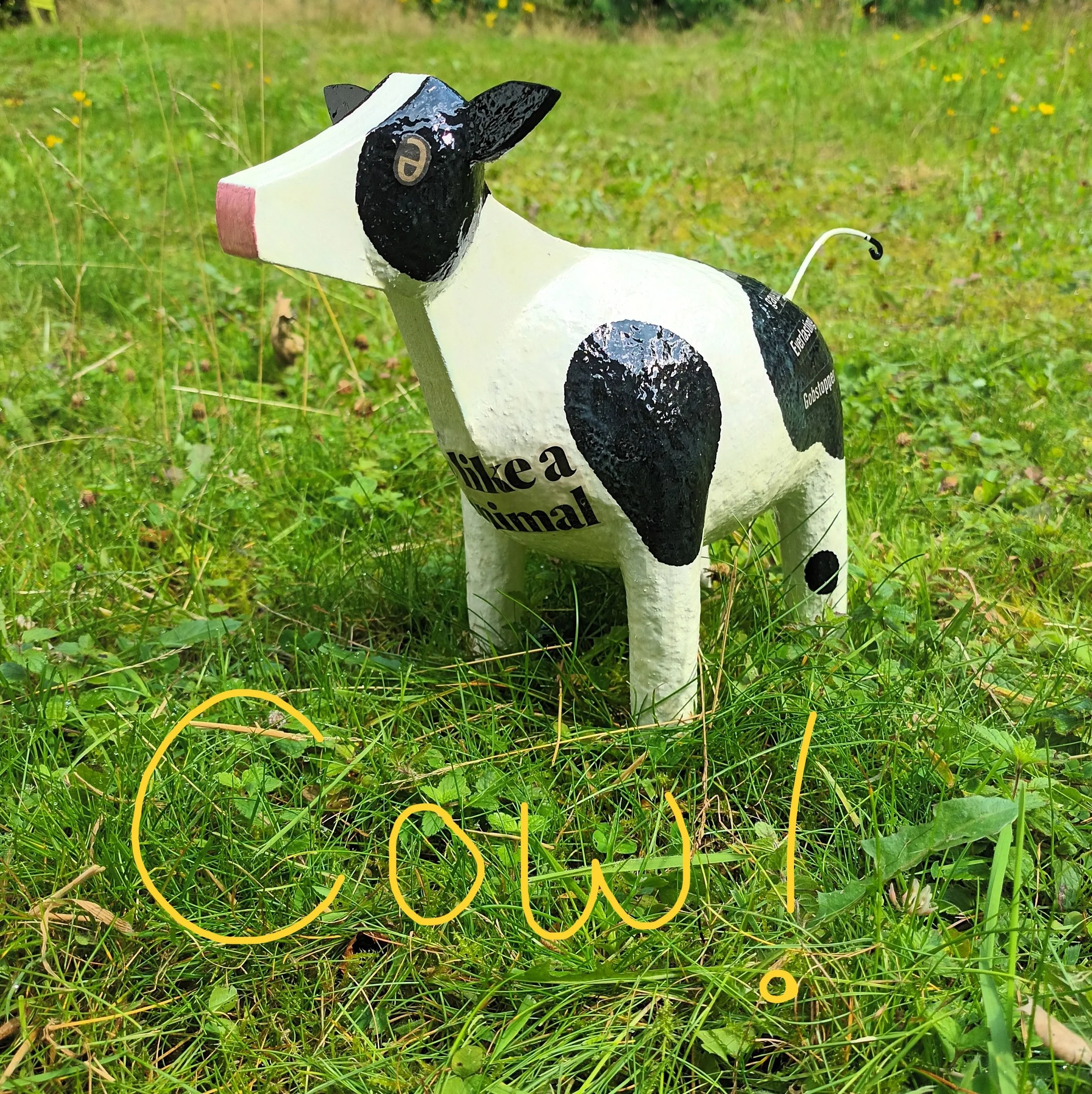 Cow