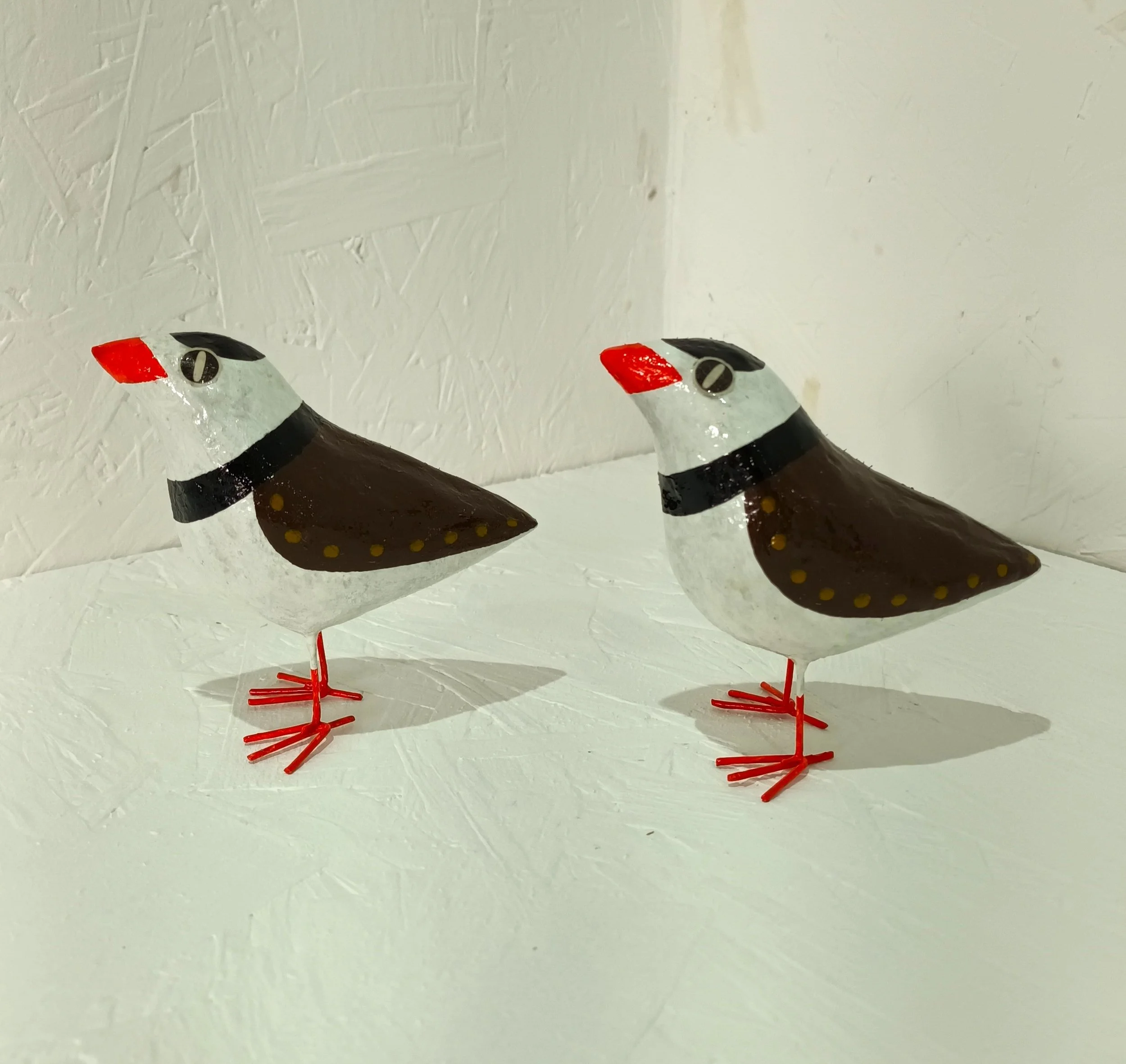 Plovers.jpg