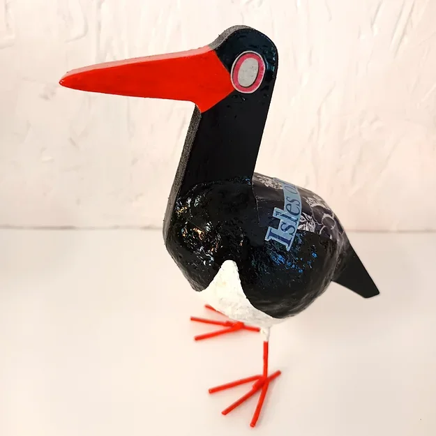 oystercatcher.webp