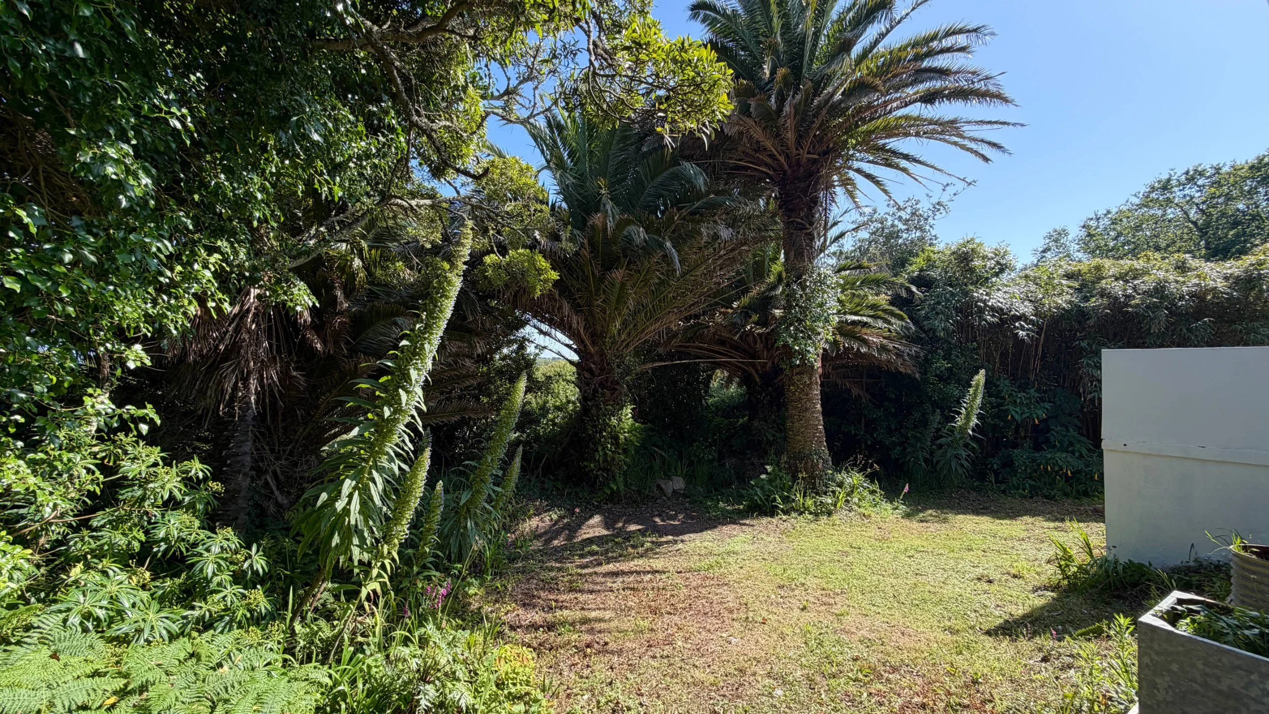 the_palms-13.jpg