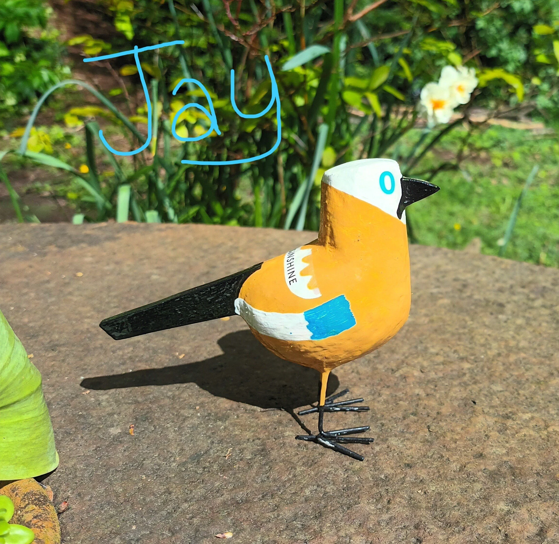 Jay