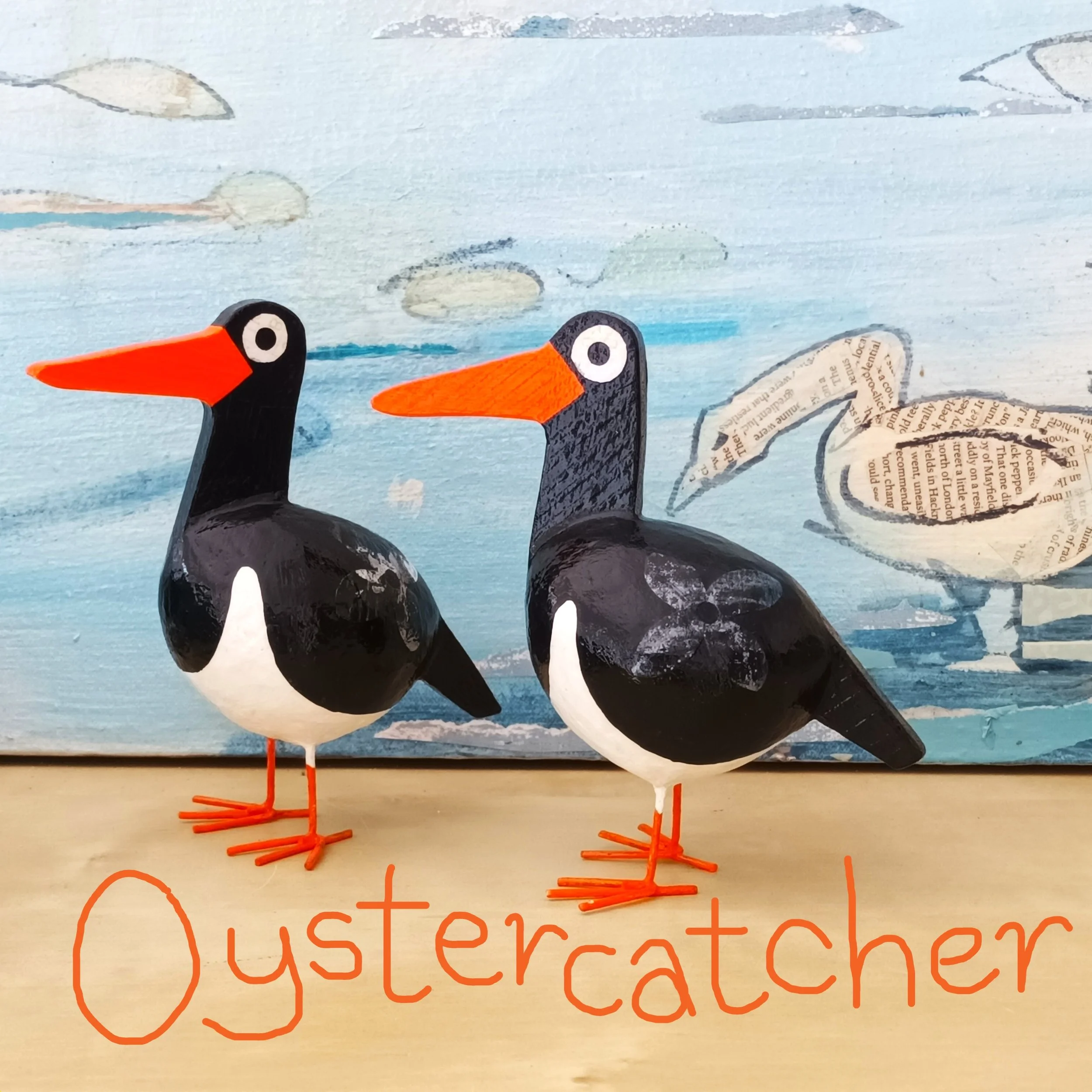 Oystercatcher
