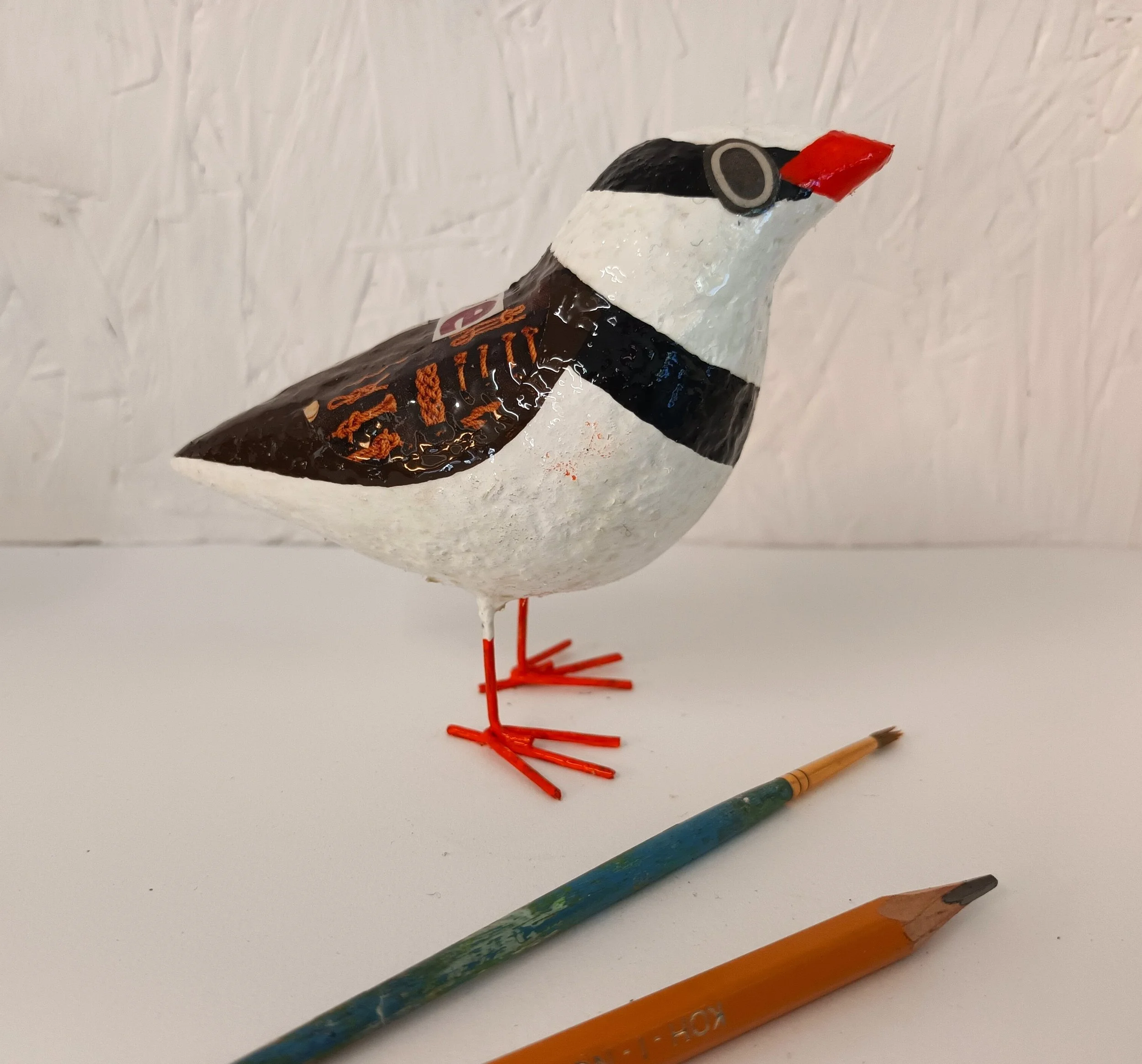 plover.jpg