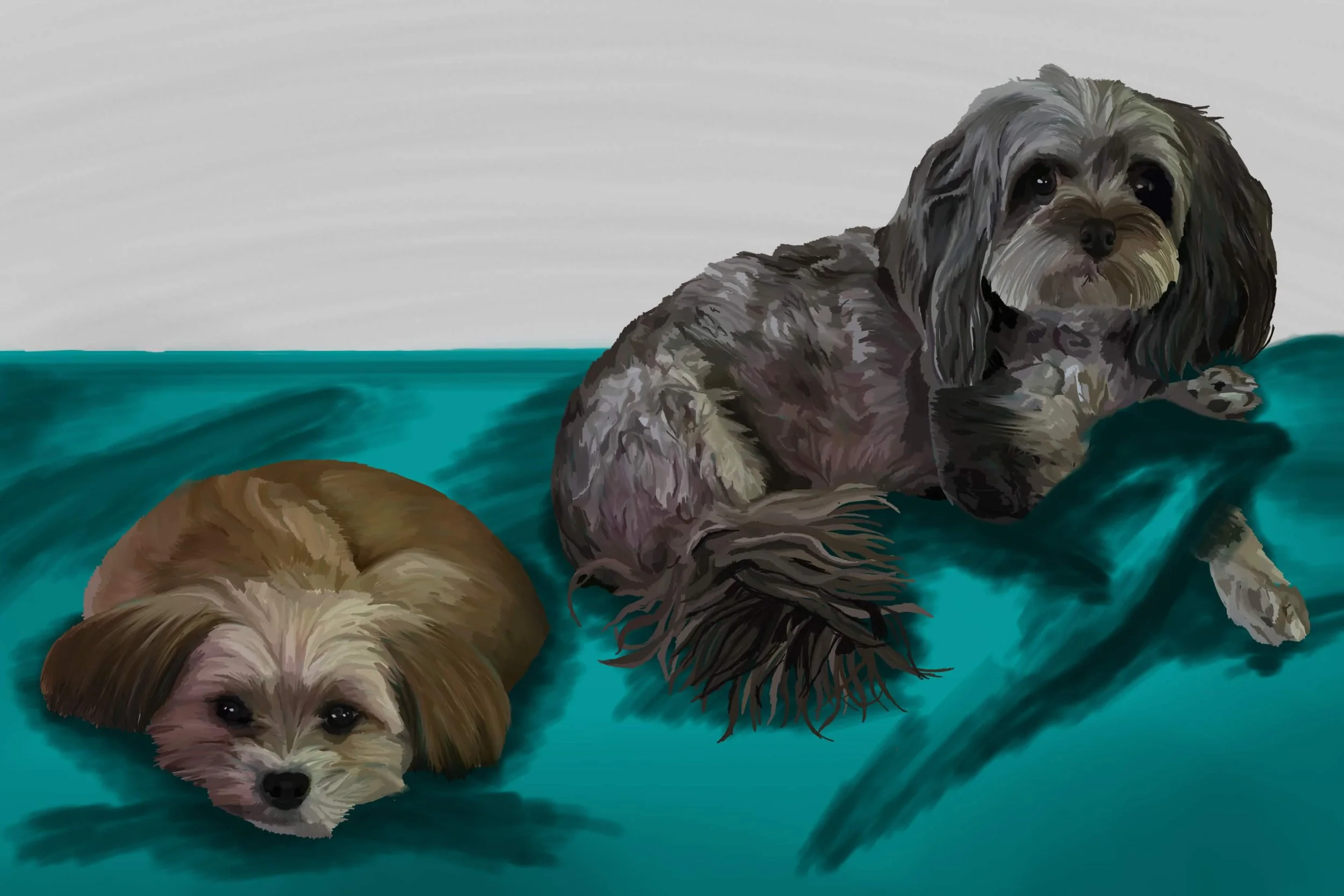 Pet Portrait Commission 