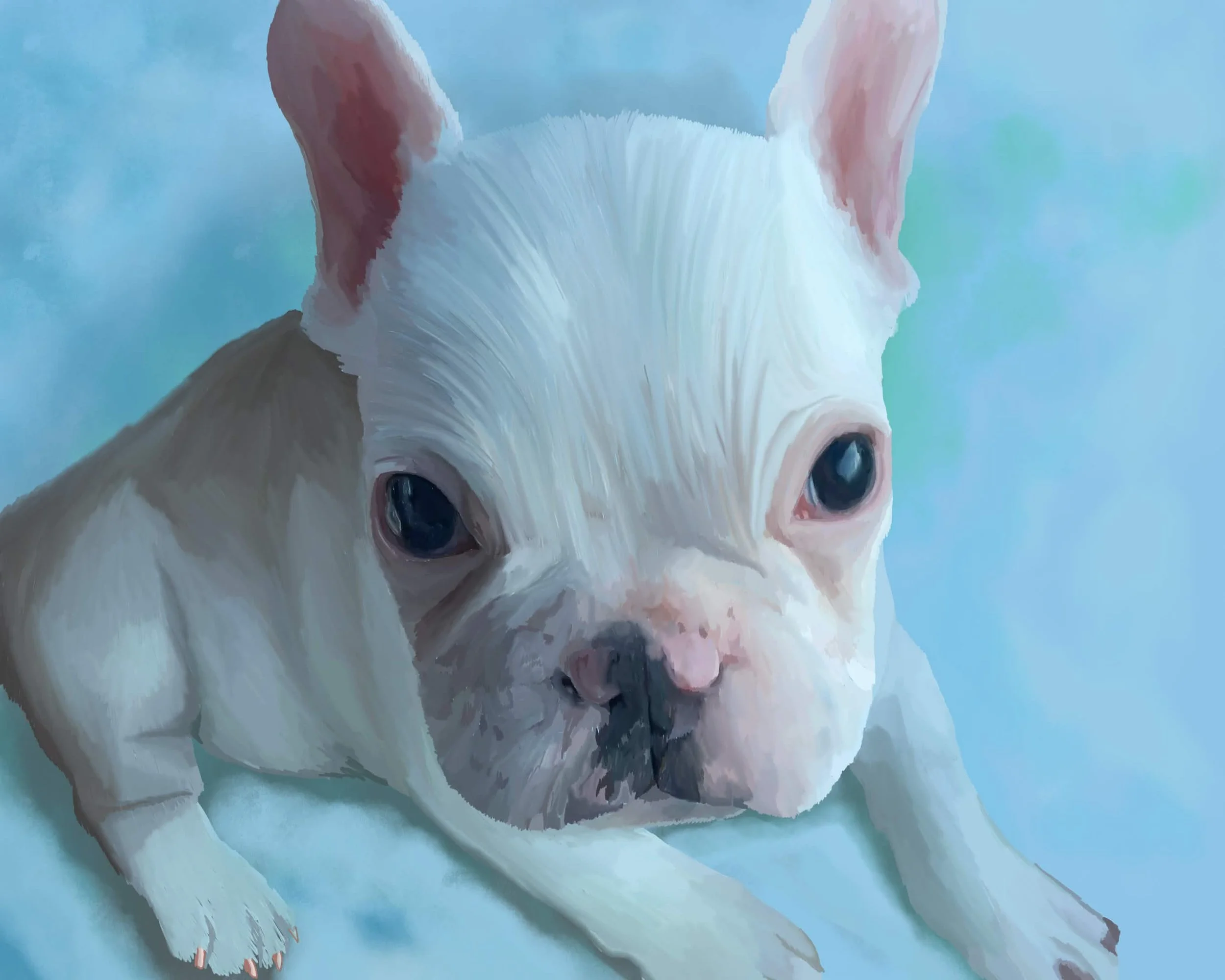 Pet Portrait Commission 