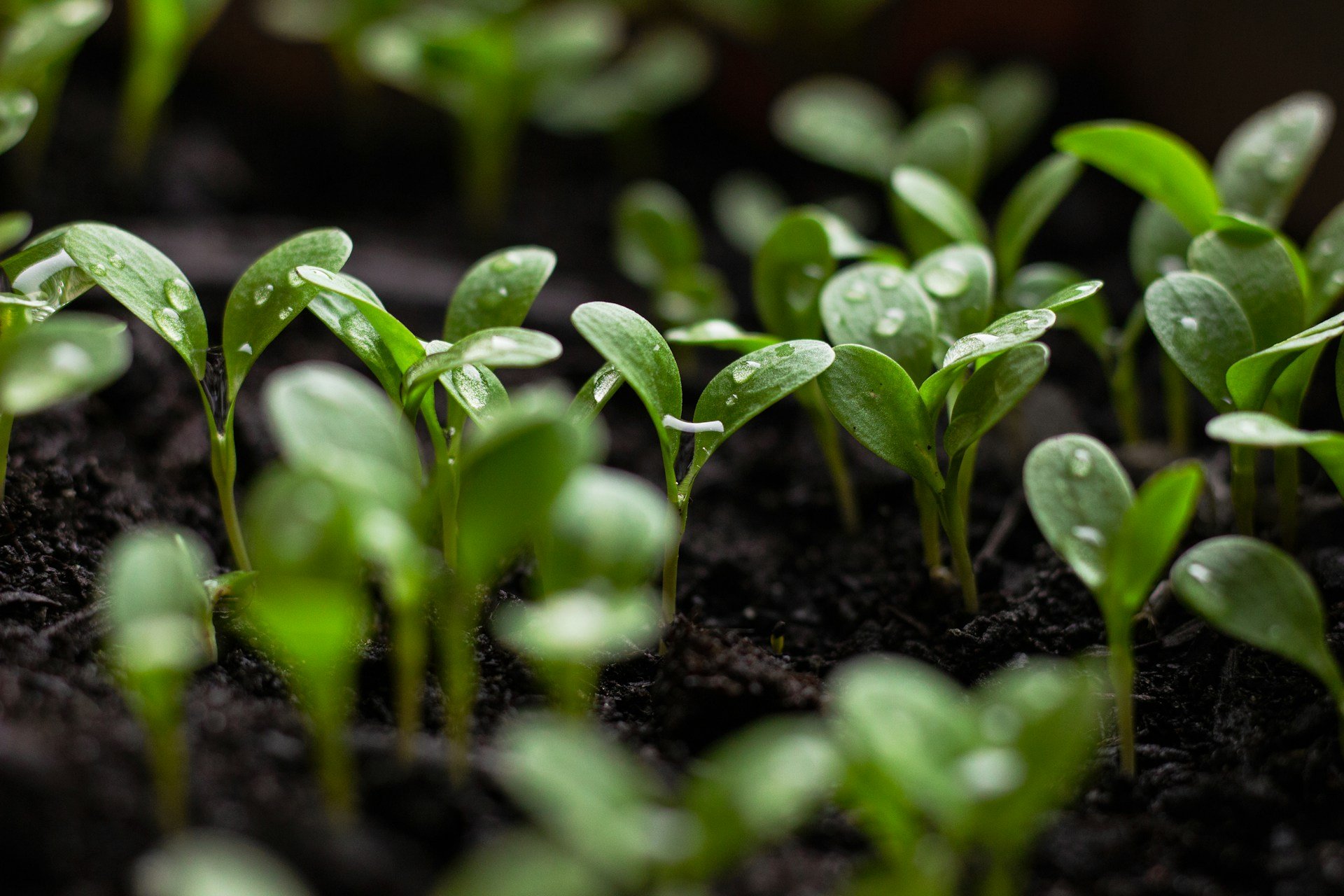 Who moves first? The quest for clarity on how to assess sustainability agreements