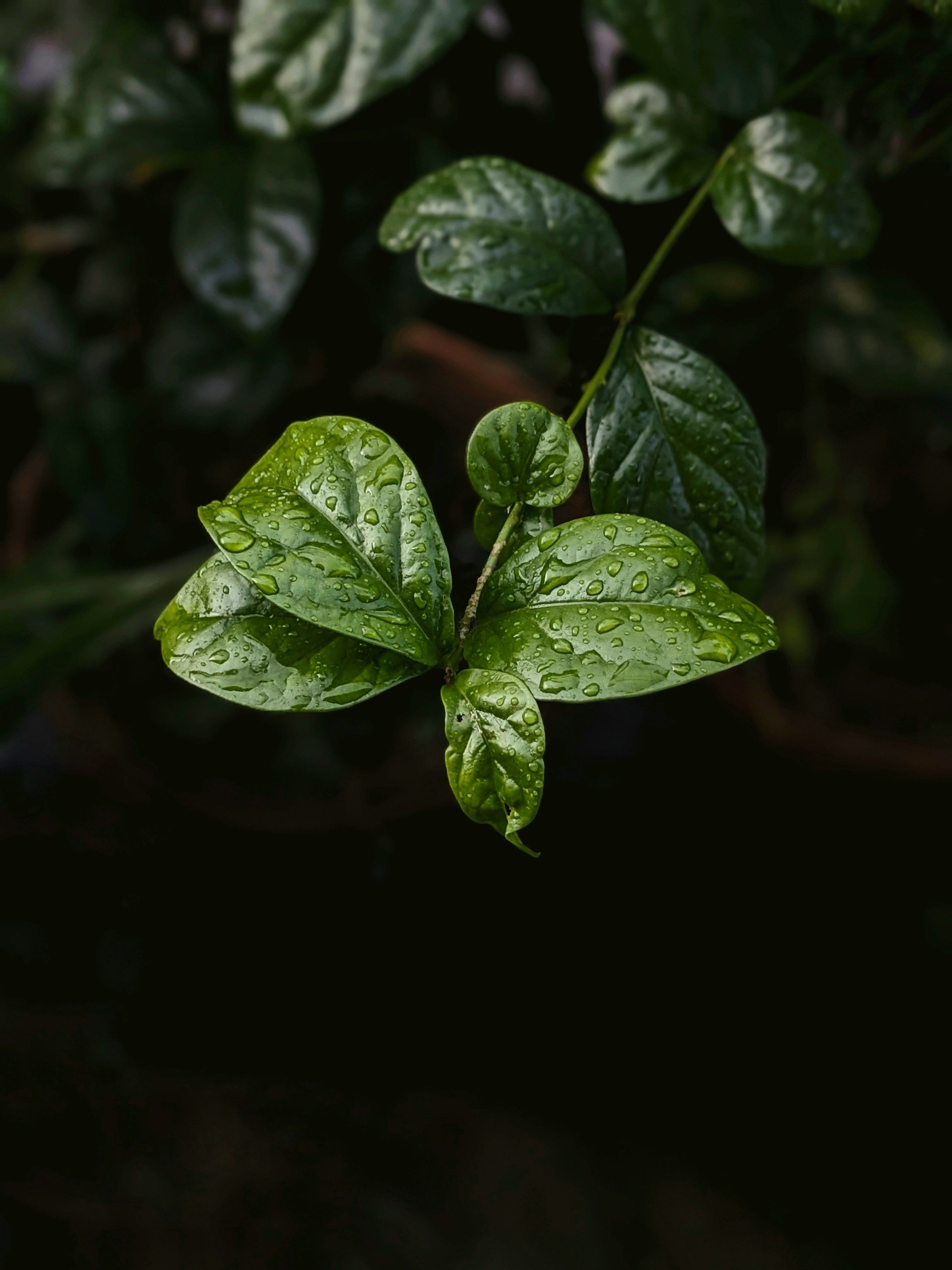 Clearing the air? What the revised horizontal guidelines say about quantifying the benefits of sustainability agreements