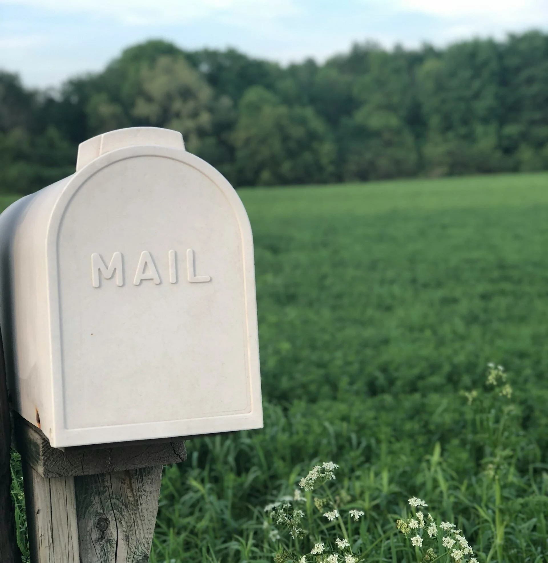 A new stage for postal regulation? Insights from recent developments in Denmark