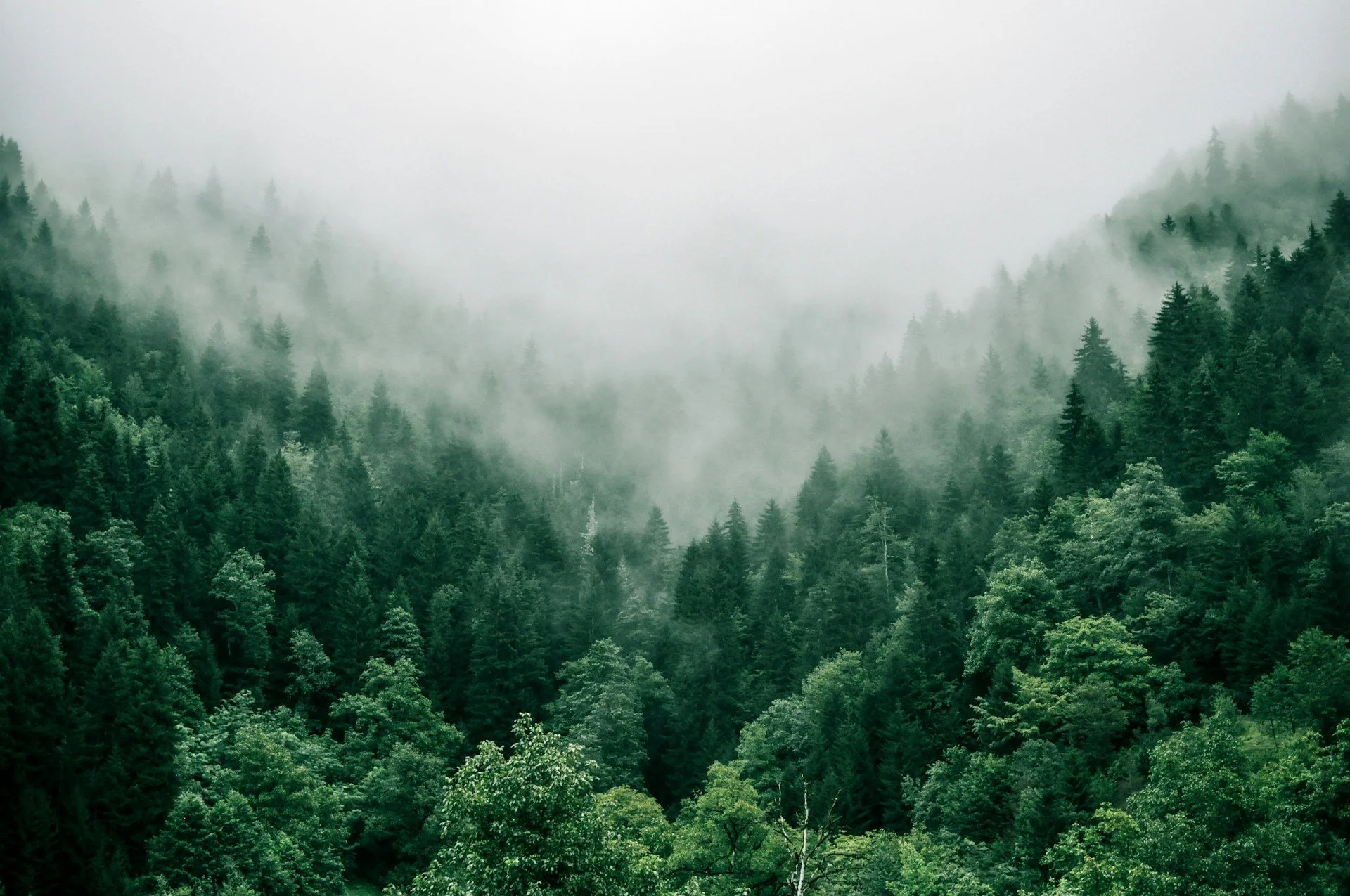 Navigating the complexities of the green transition: our considered approach to risk analysis