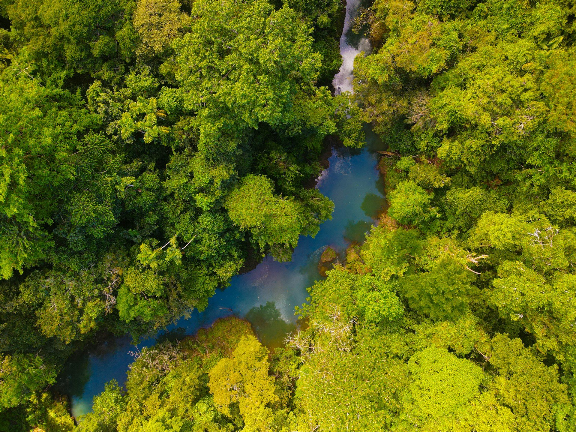 Biosolutions: a series of overlooked climate technologies