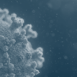 Economic consequences of the COVID-19 pandemic