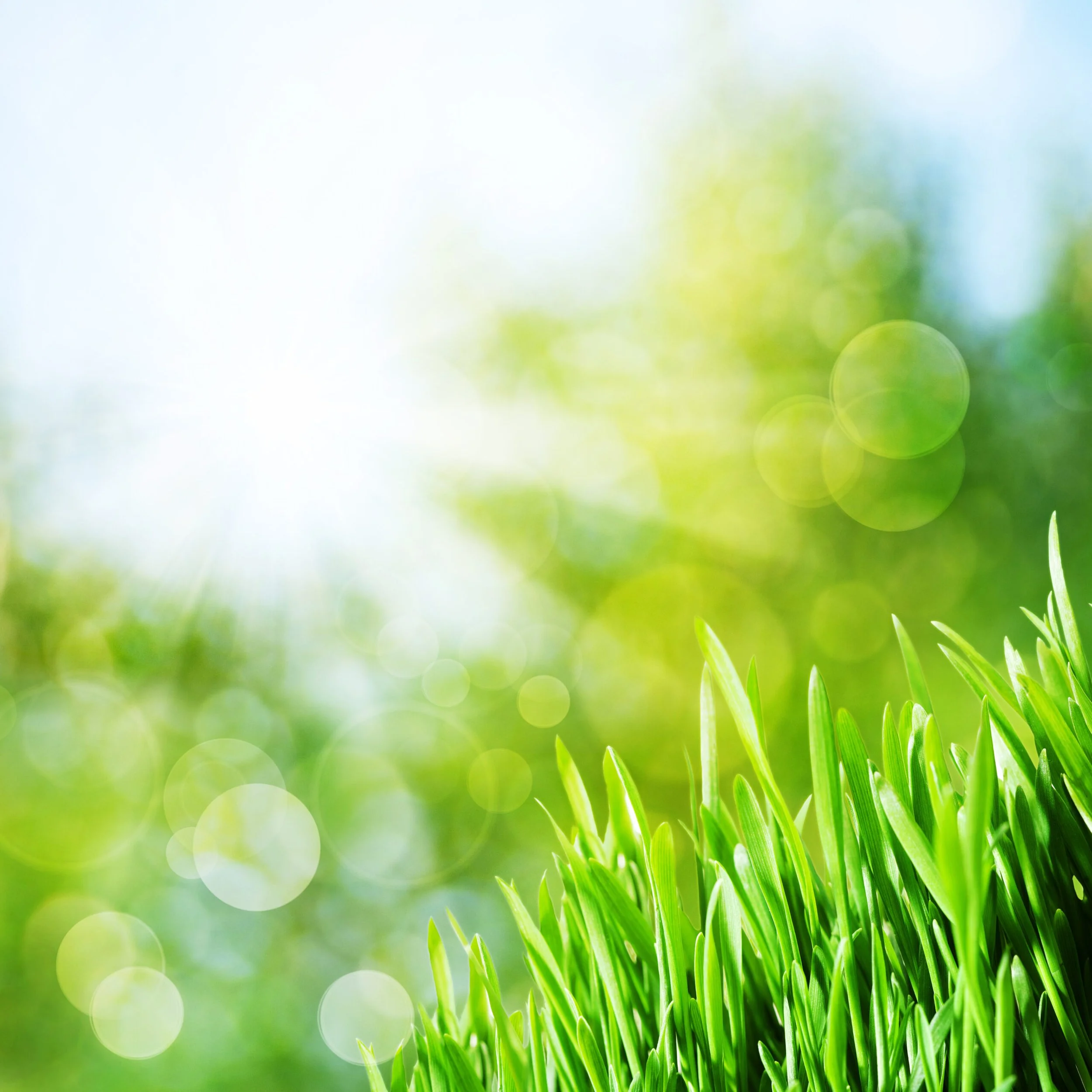 Recommendations for a balanced energy policy