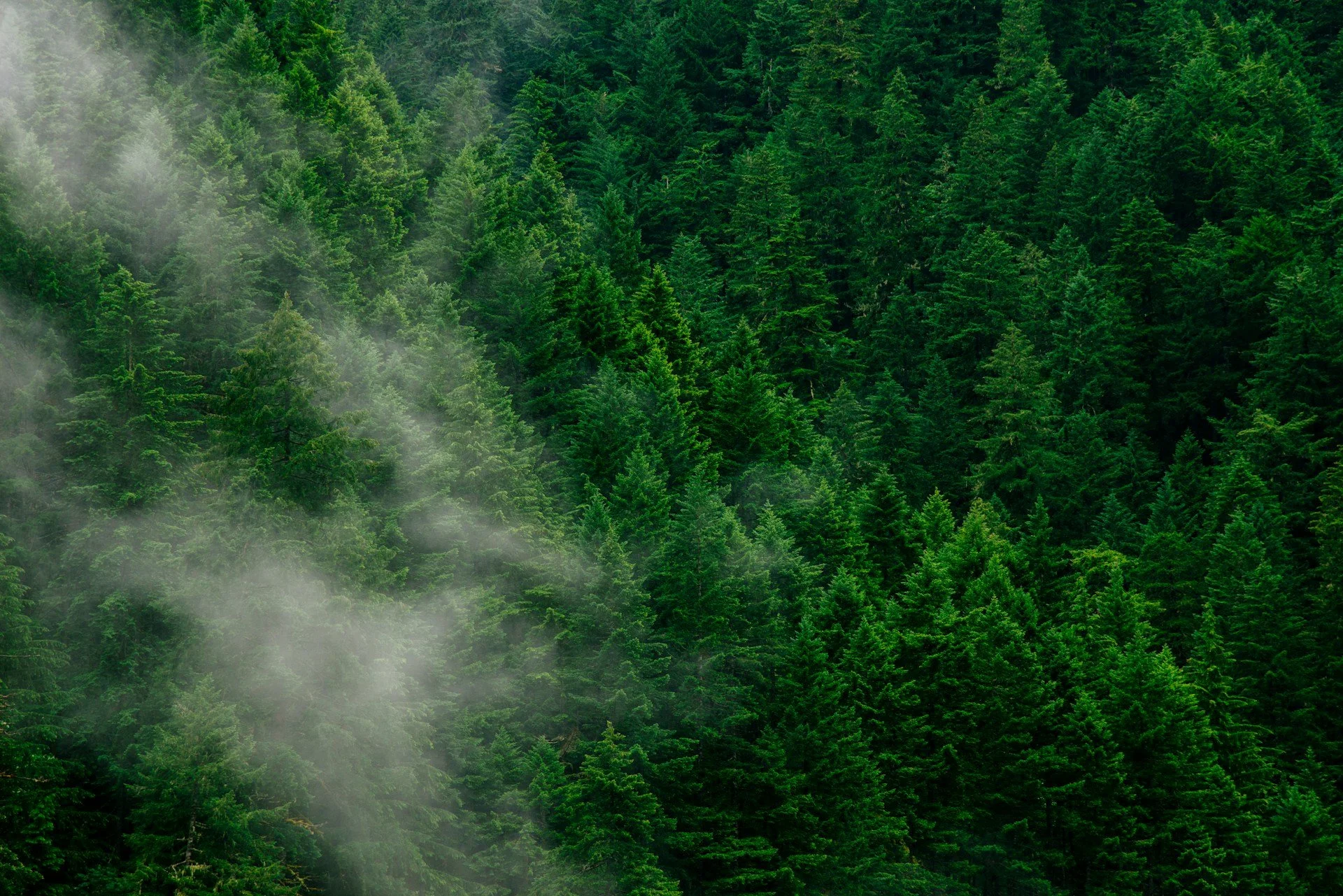 Credible green claims: Driving investments in greener production