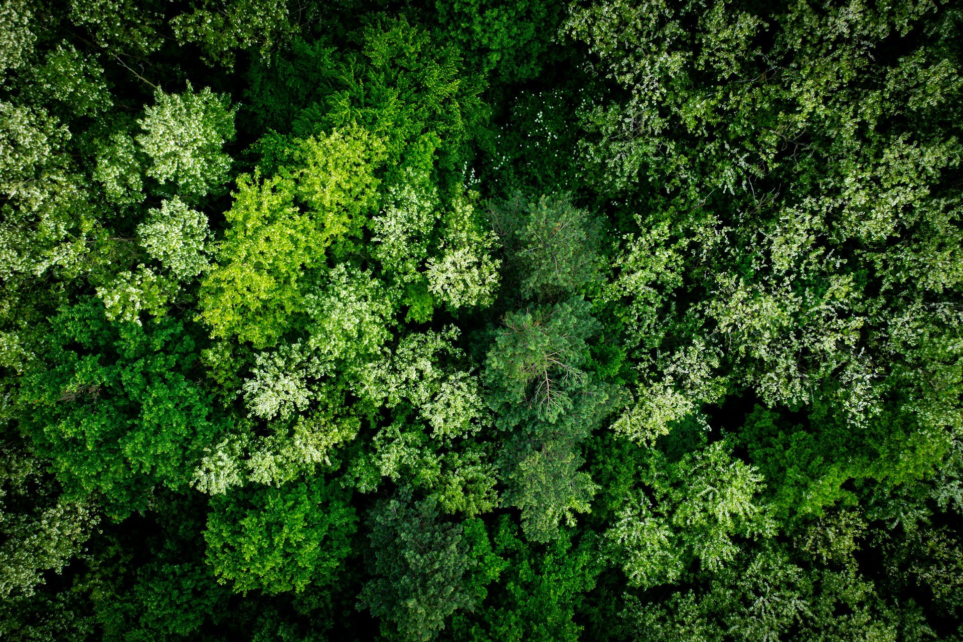 Unlocking the potential of African-European green hydrogen trade