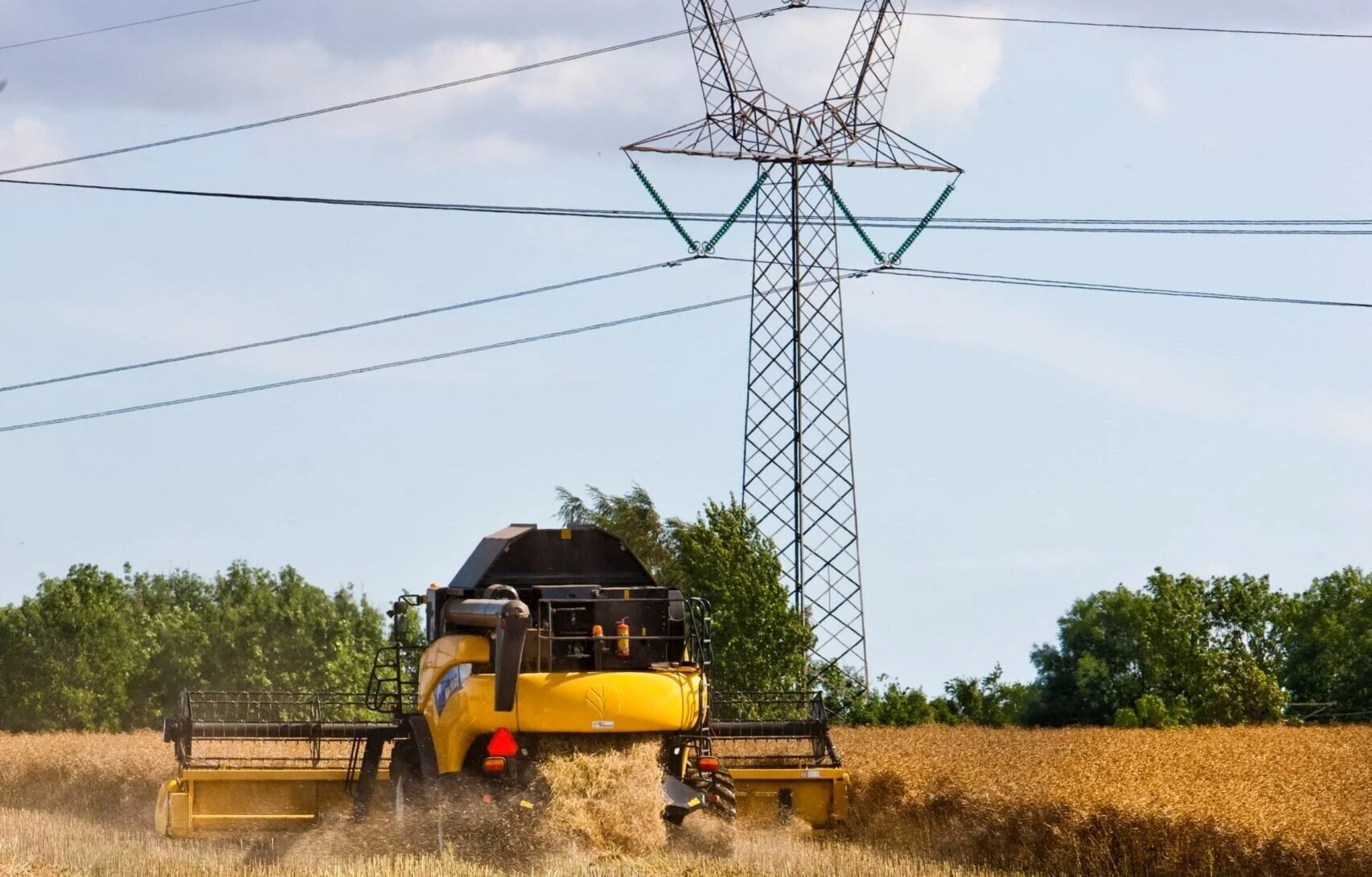 Export price elasticities in the agriculture and food industry: to what extent can higher costs be passed on in export markets?