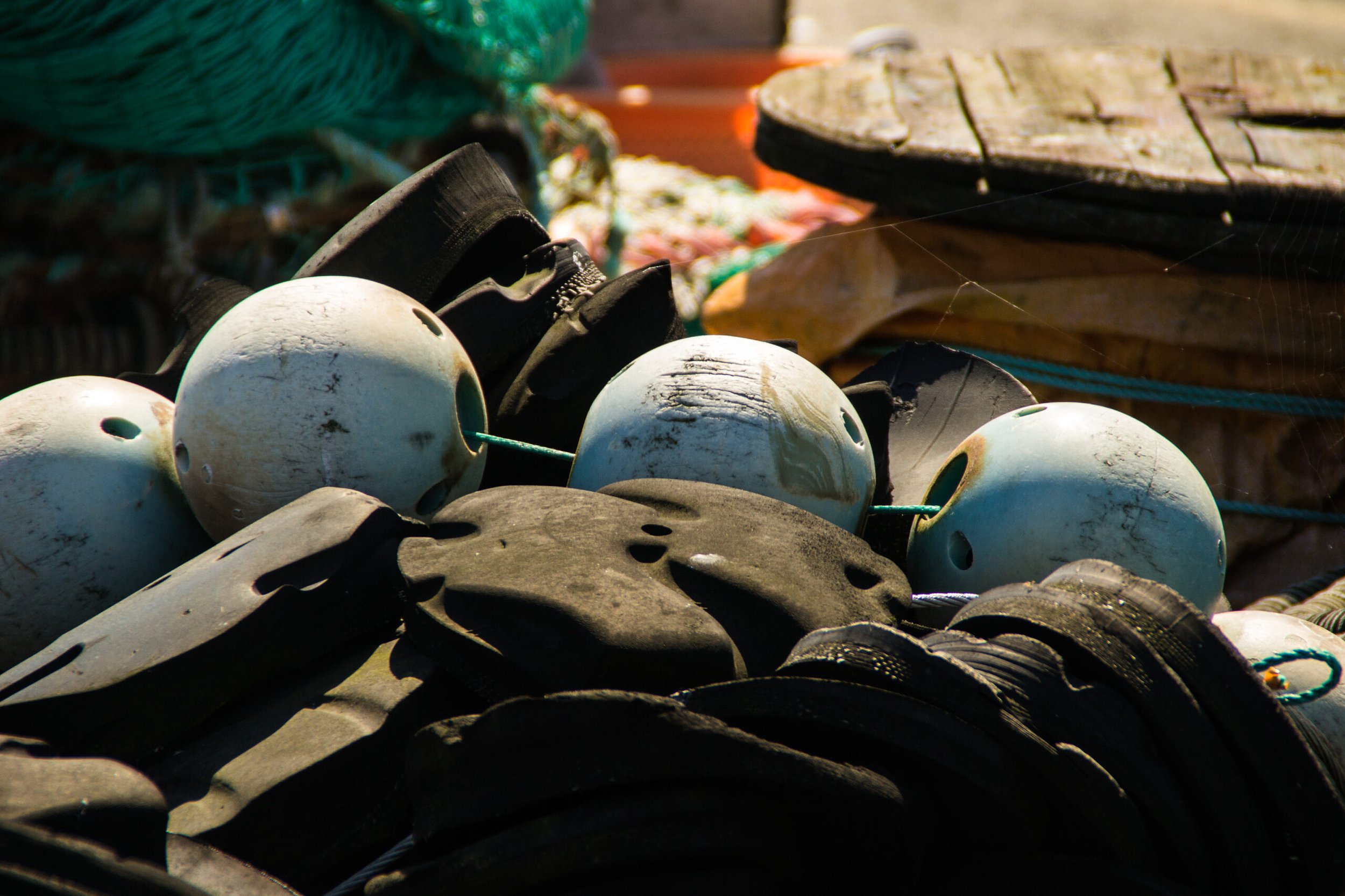 The economic footprint of the Danish fishery sector
