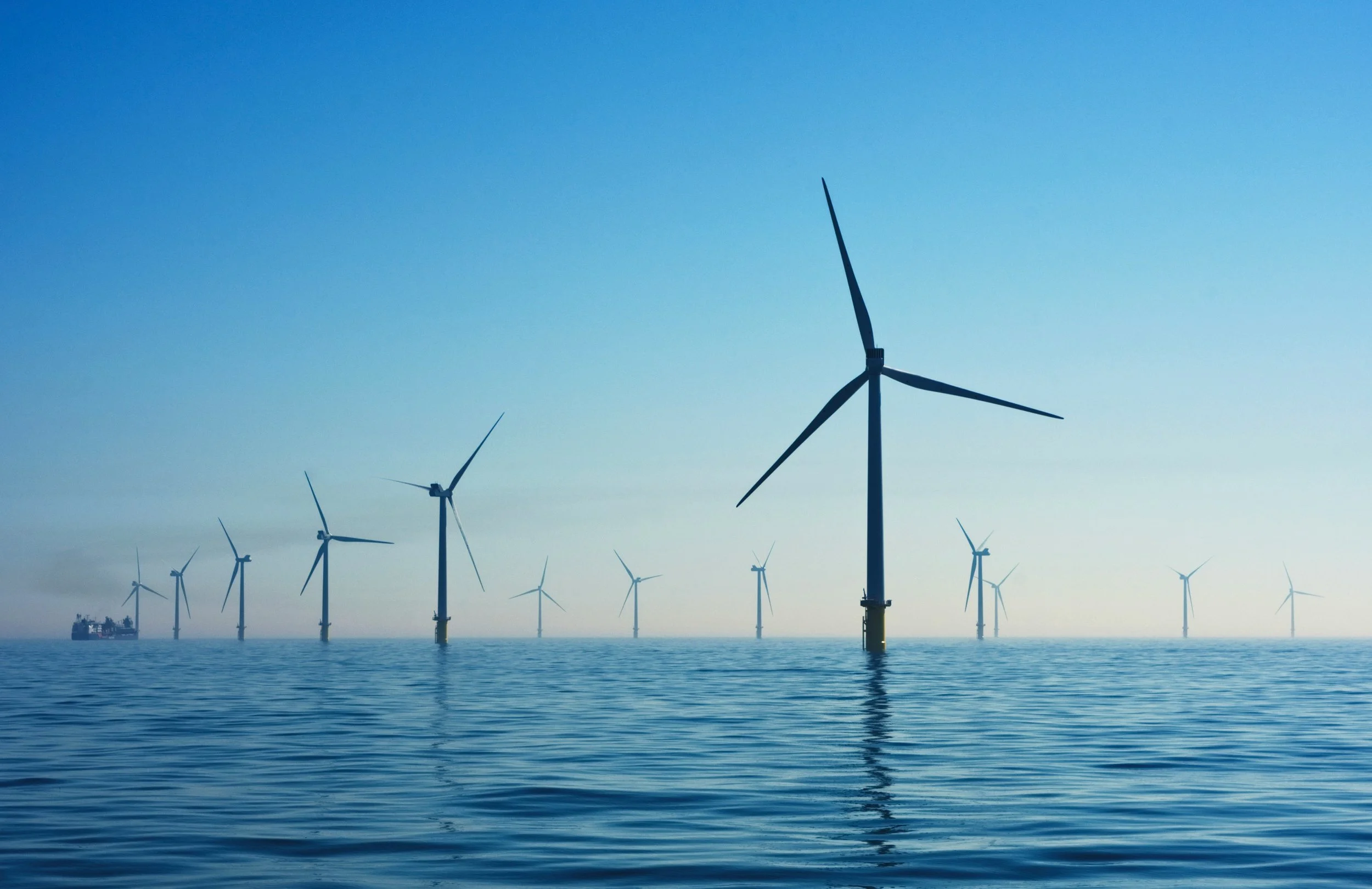BOEM sells seabed off the seashore