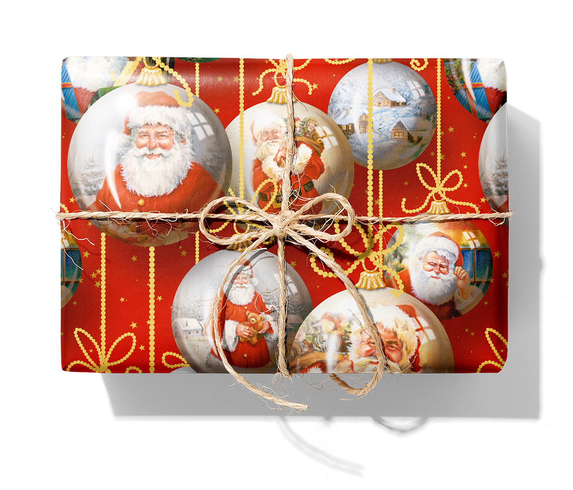14351 Santa 5V_1140_Paket.png