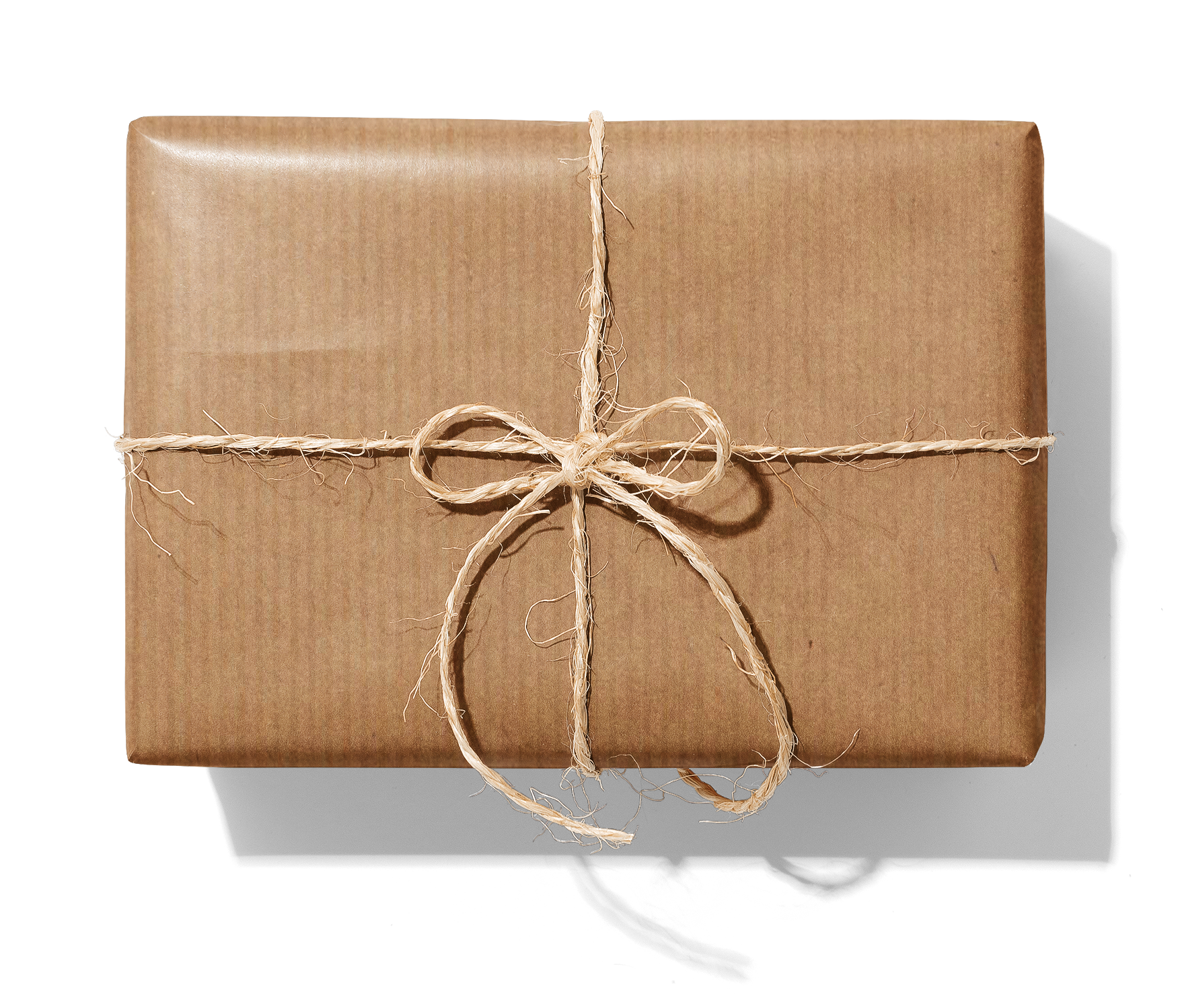 66999 Otryckt_Ribbad_Kraft_1390_Paket.png