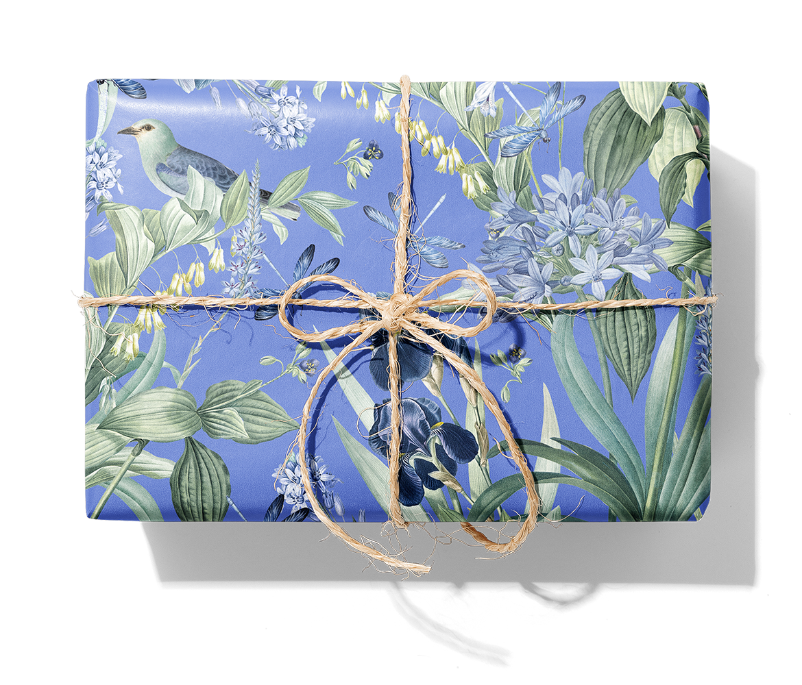 27401 Mintfloral-cmyk+fond 4150c_1140_Paket.png