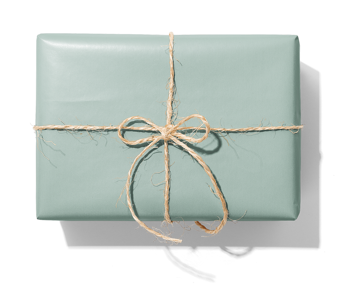 19185 Enfg obestr_4169u_1140_disk_Paket.png