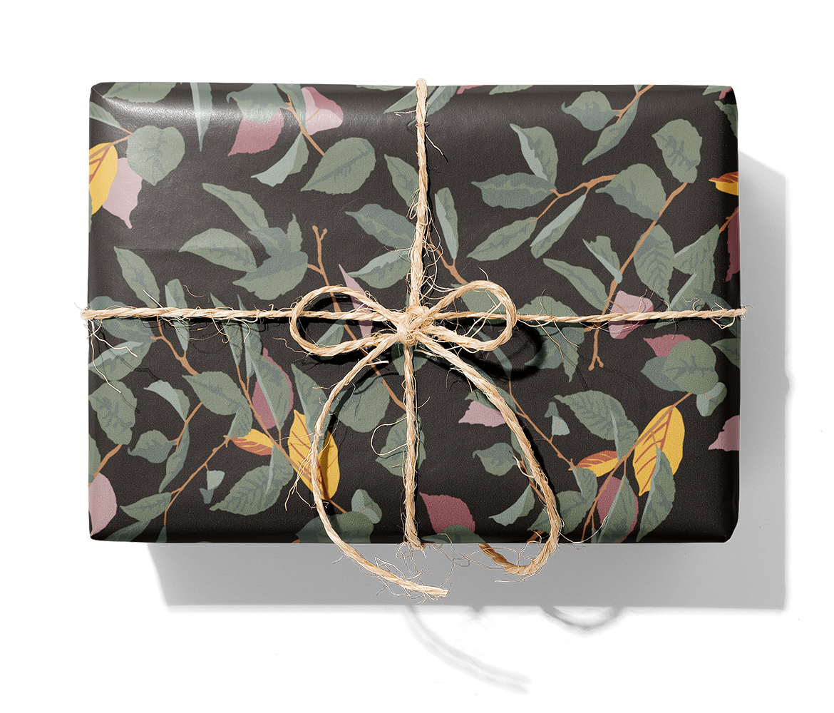 28341 ASP_cmyk+fond 4279c_1140_Paket.png