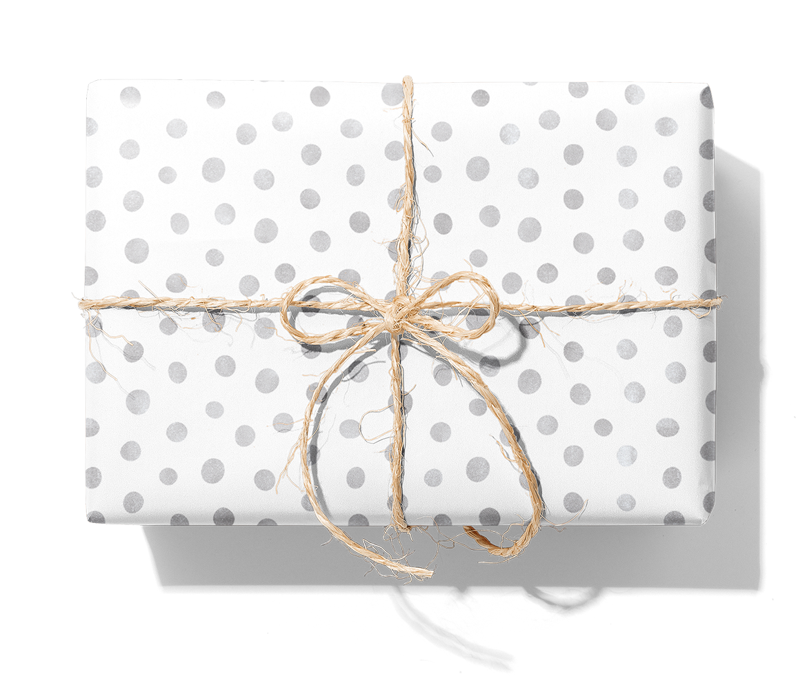 M25685 SpotOn_white_silver dots_1140_Paket.png