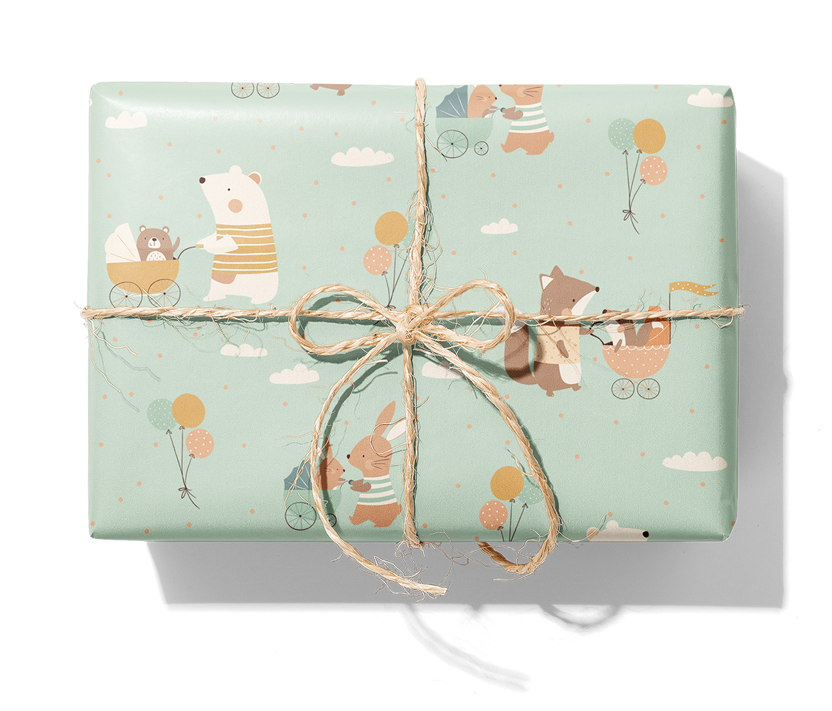 27342 Minibuddy_fond_9543C_1140_Paket.png