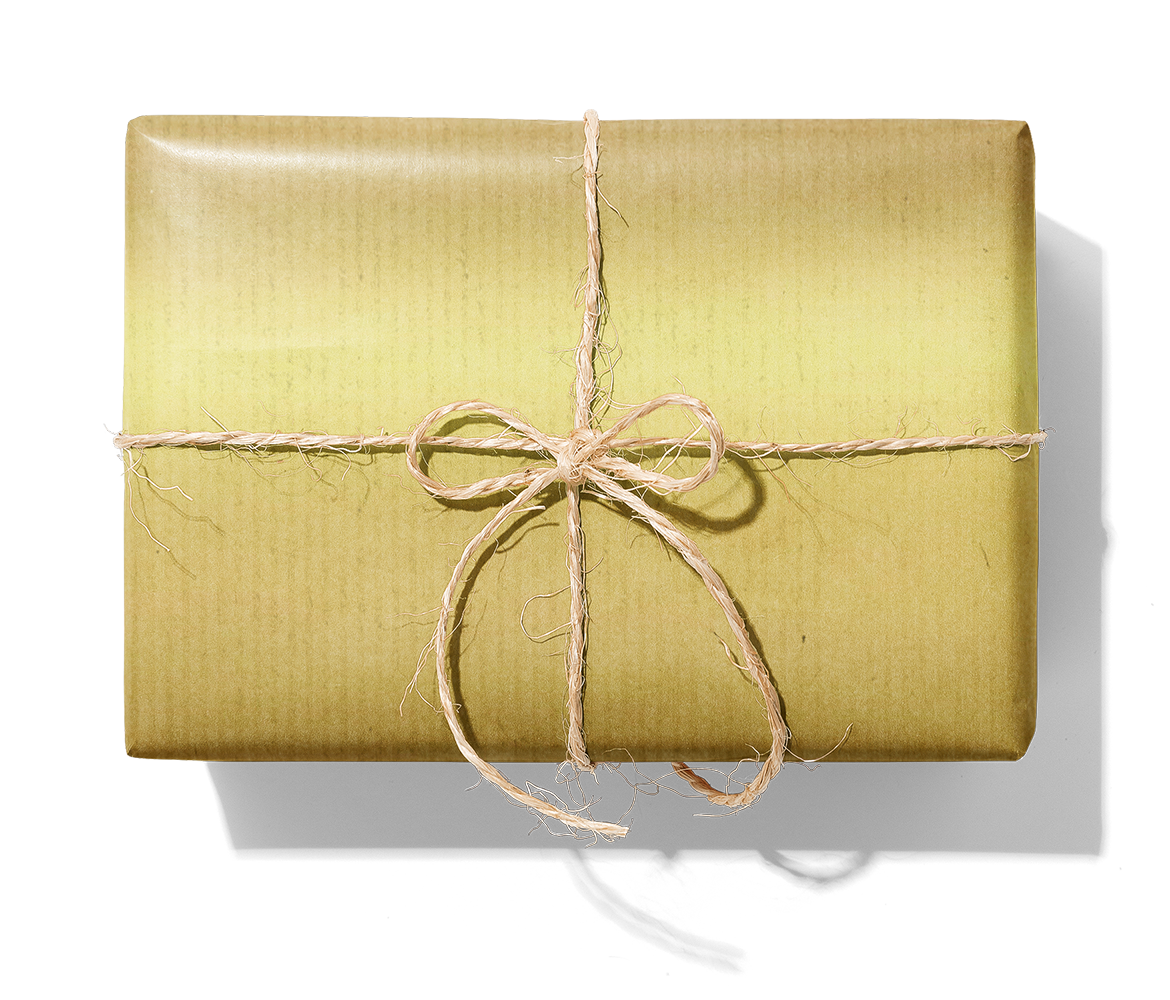 BR66005 Guld_1140_Paket.png