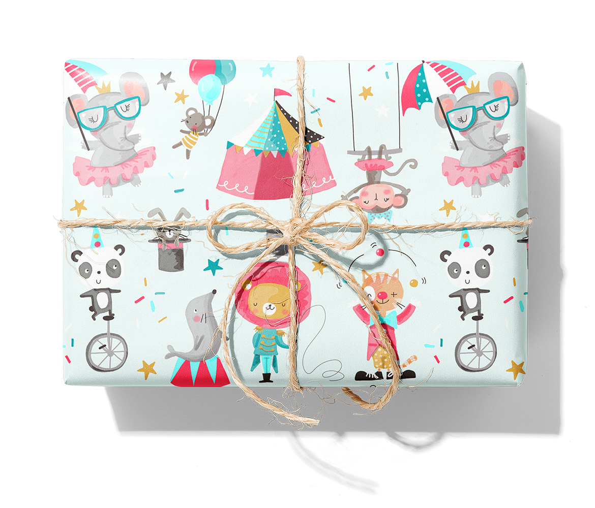 27311 Cirkus mint_1140_Paket.png