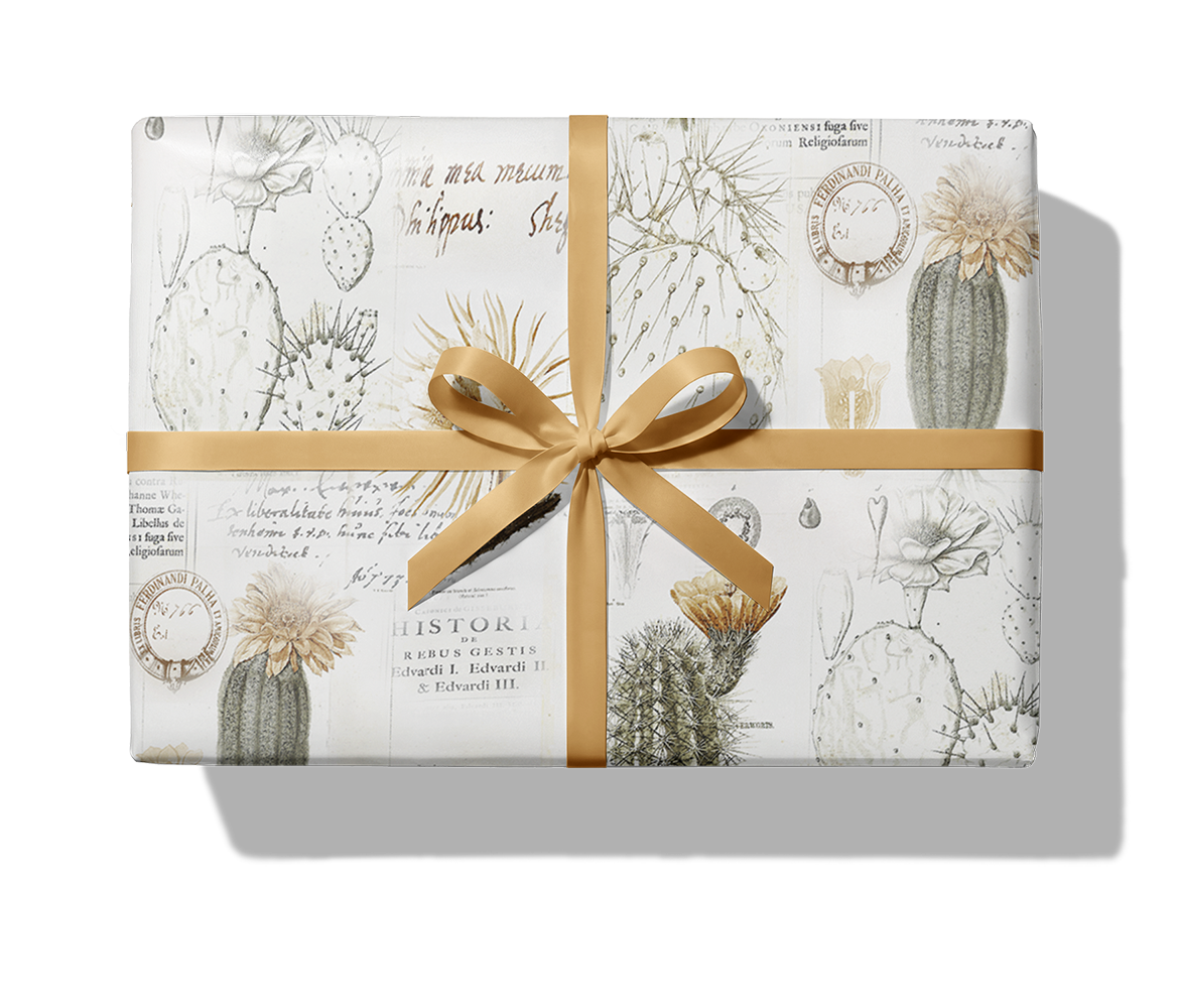 22201 Cactus_1140_Paket_Band.png