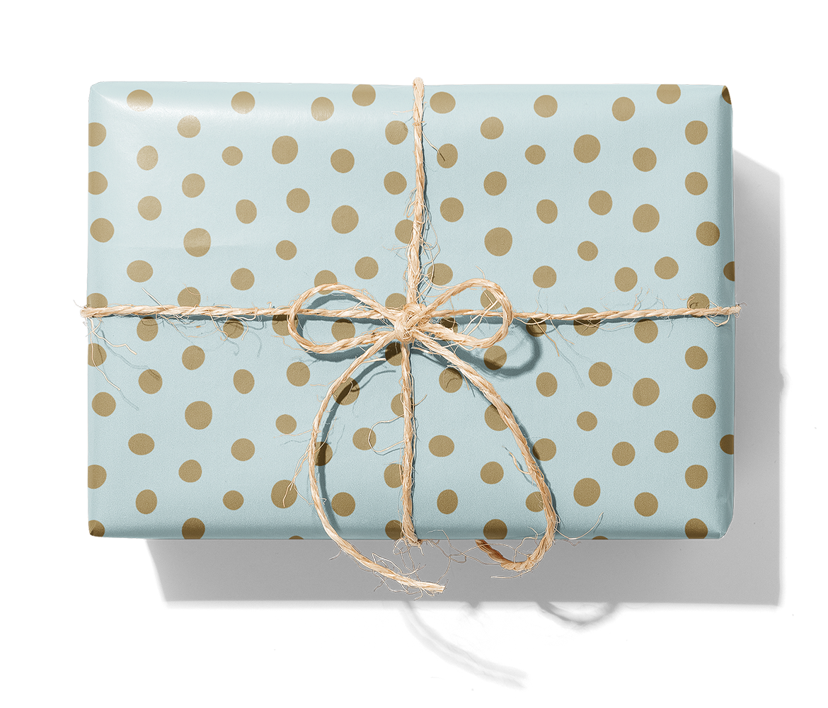 25684 SpotOn_mint_4169U_gold dots_1140_Paket.png