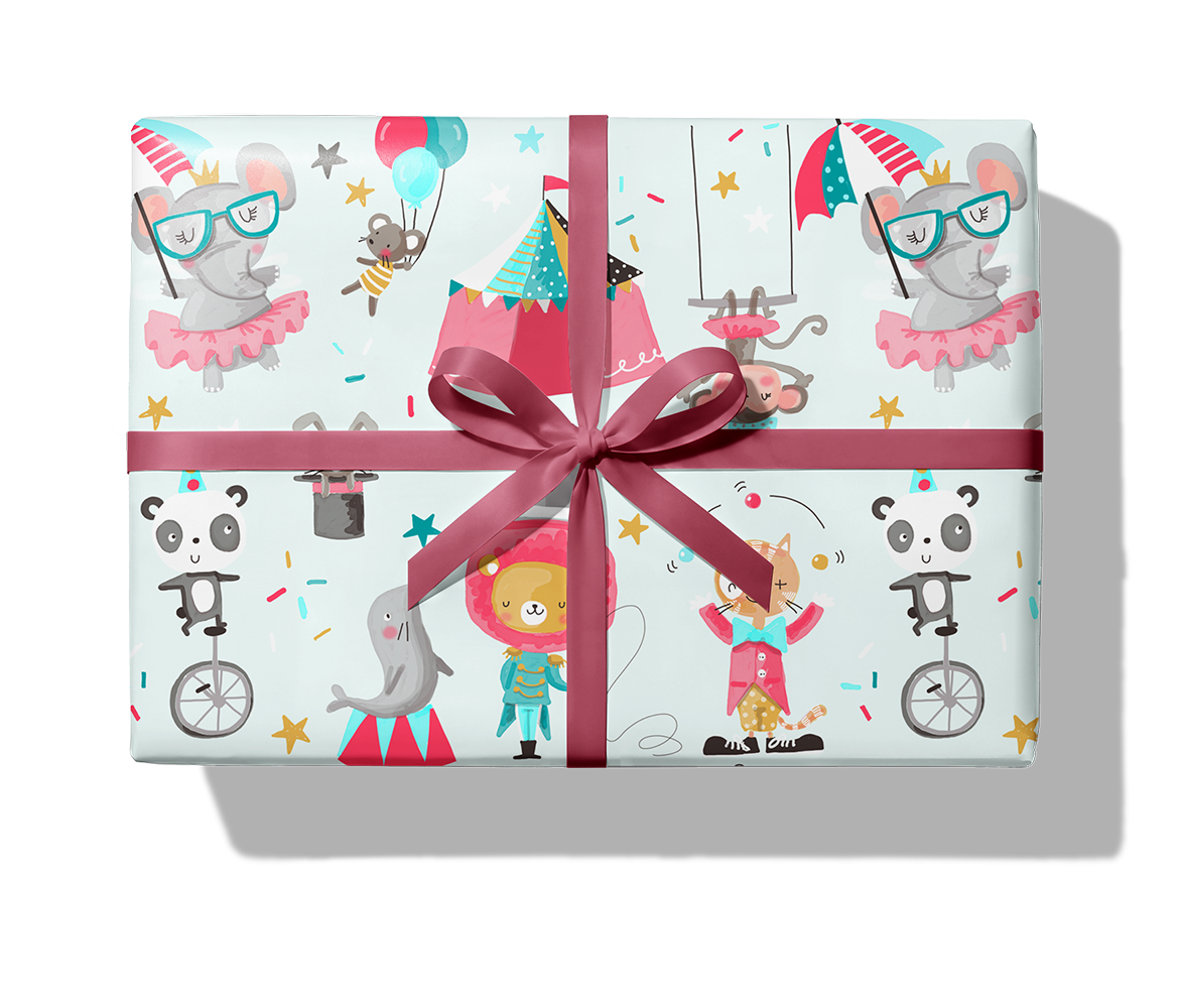 27311 Cirkus mint_1140_Paket_Band.png