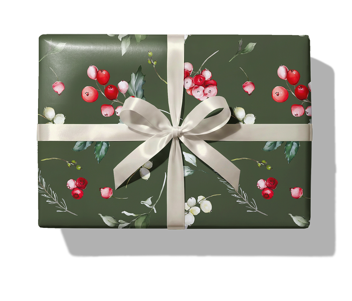 27331 Noel_1140_disk_Paket_Silkesband.png